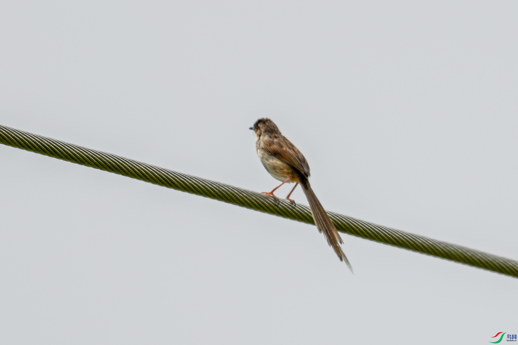 DSC_7357.JPG