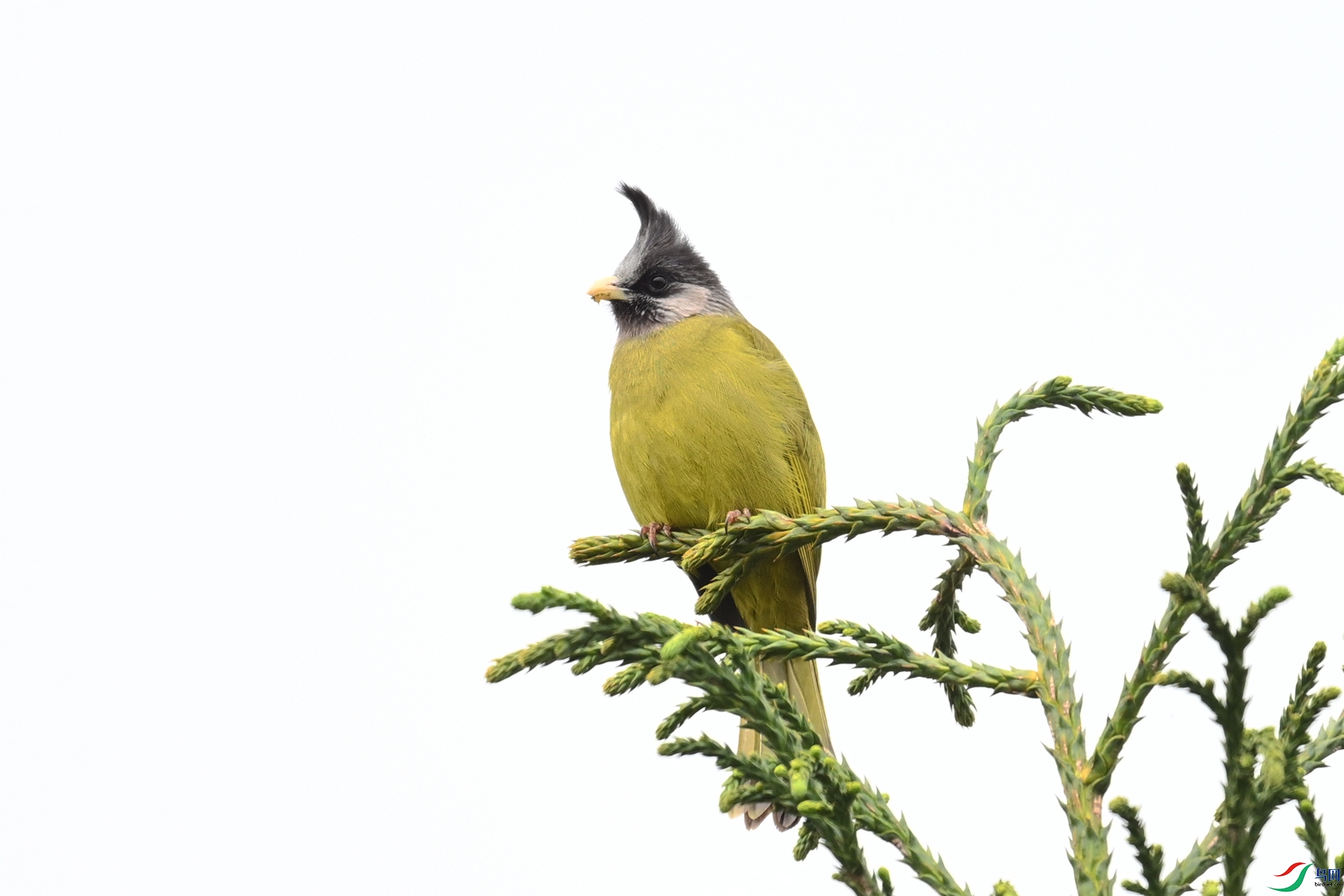 DSC_7343.JPG