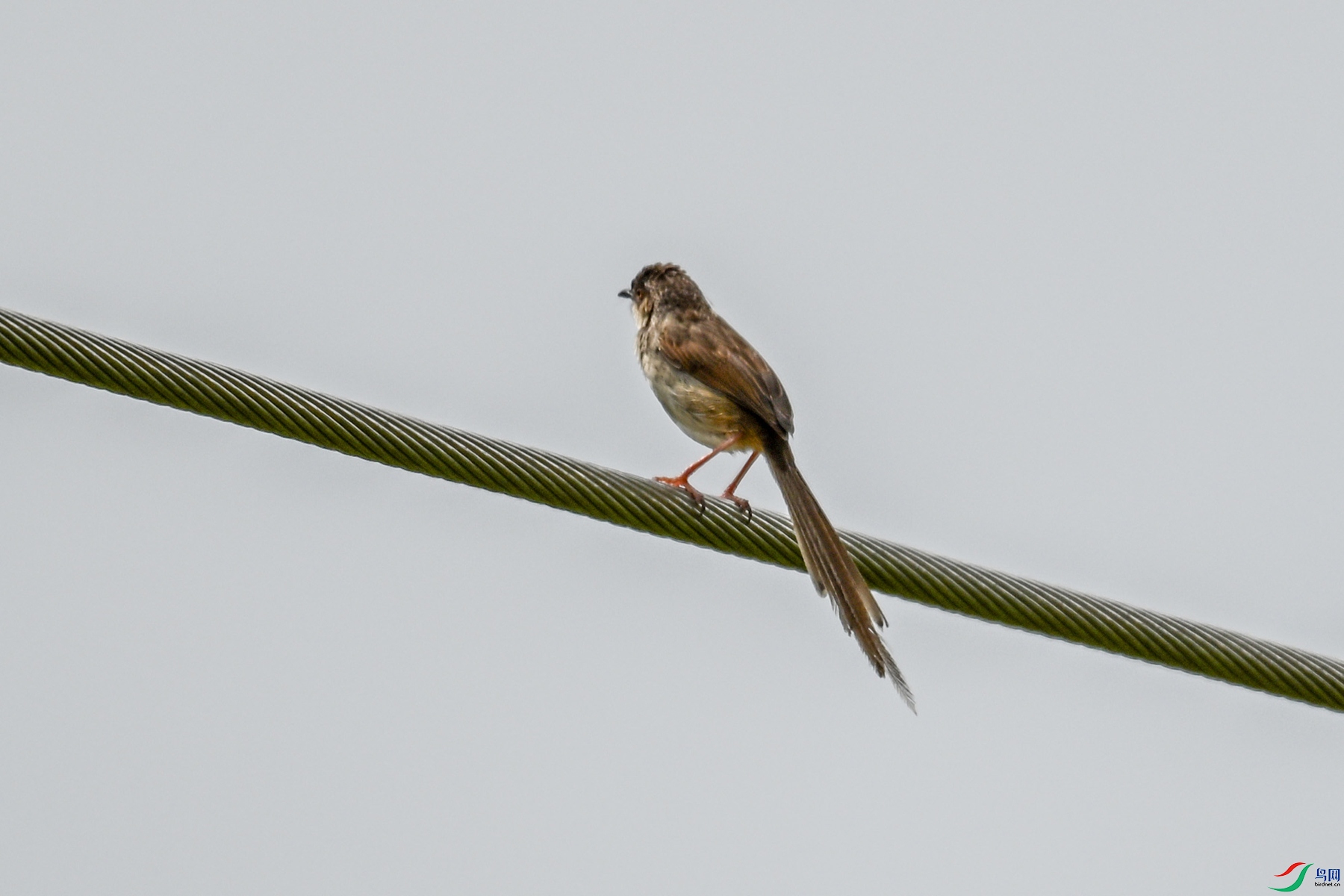 DSC_7359.JPG