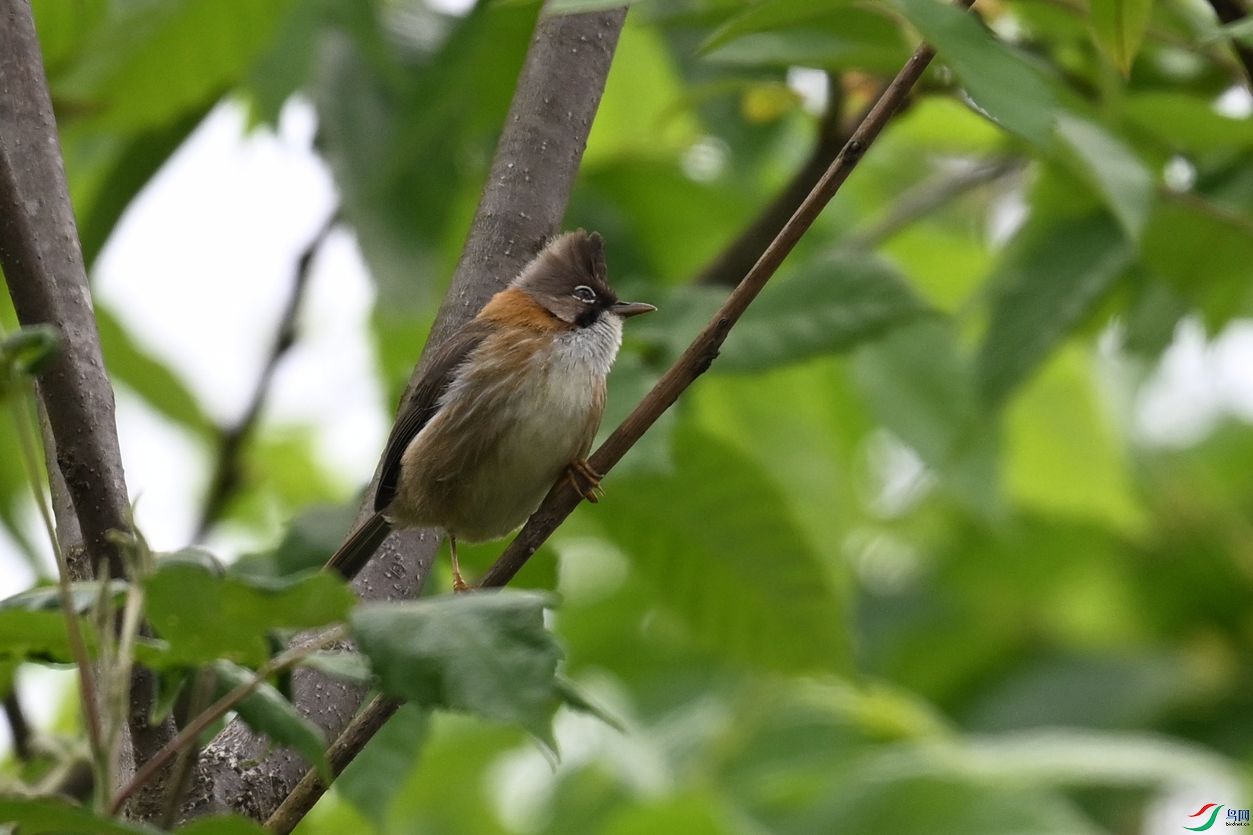DSC_7352.JPG