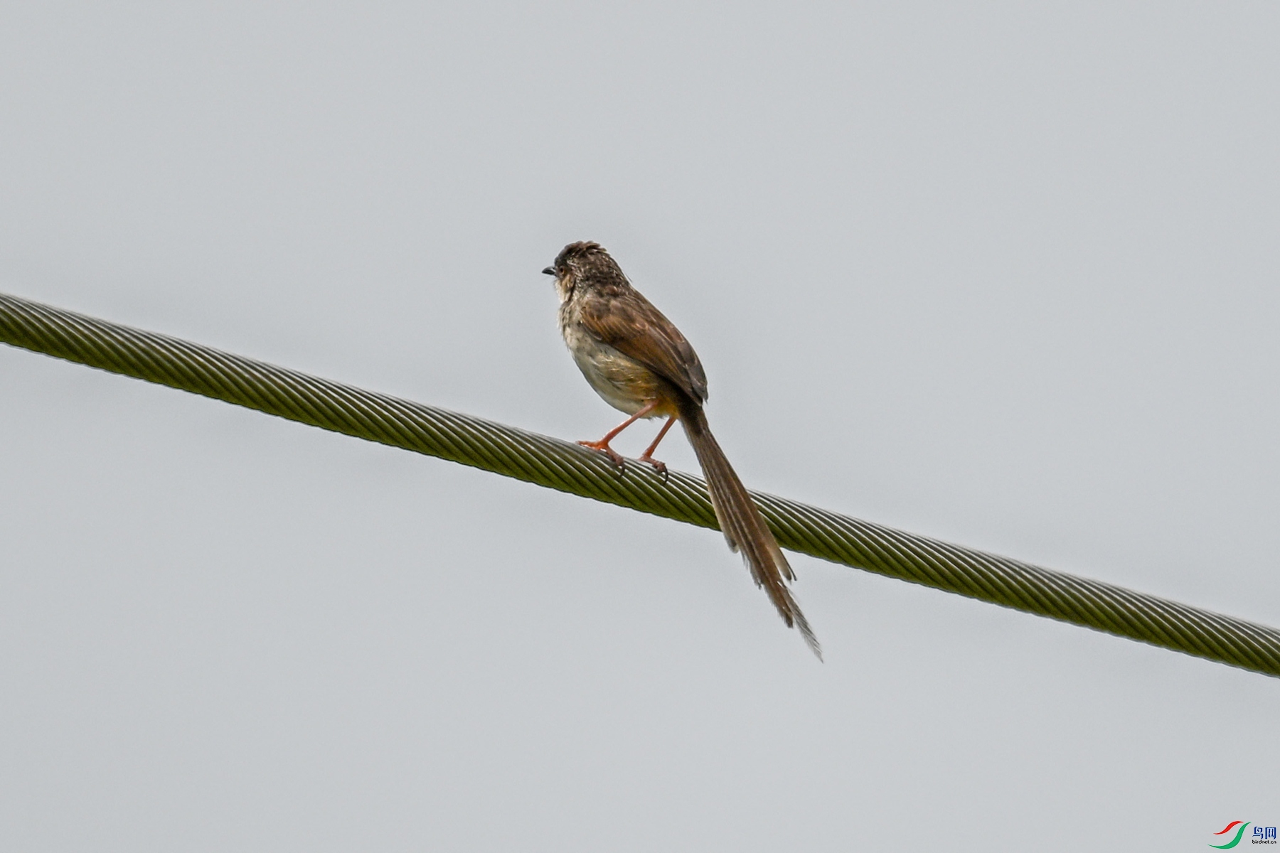 DSC_7361.JPG