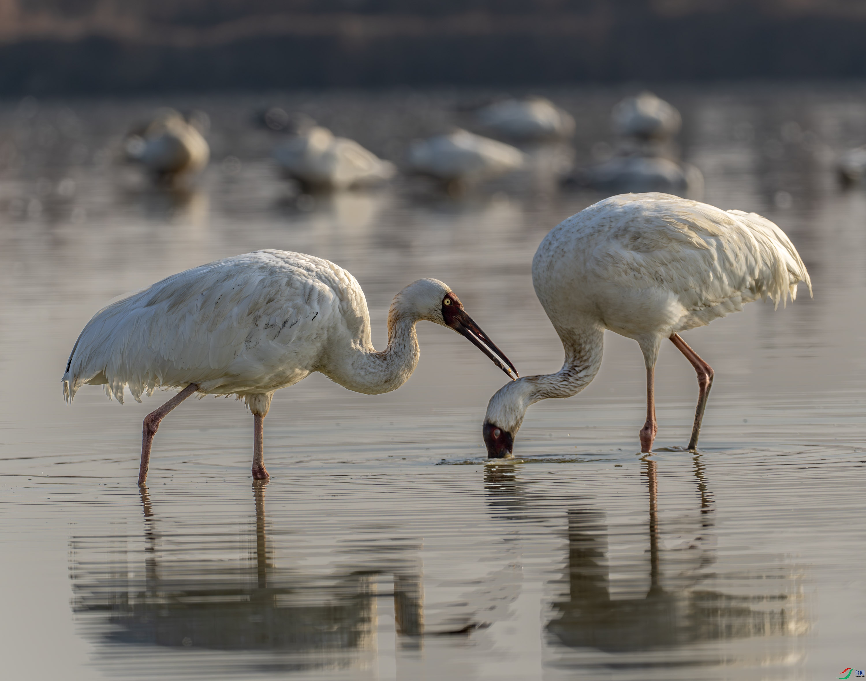 ����-�׺� (27).jpg