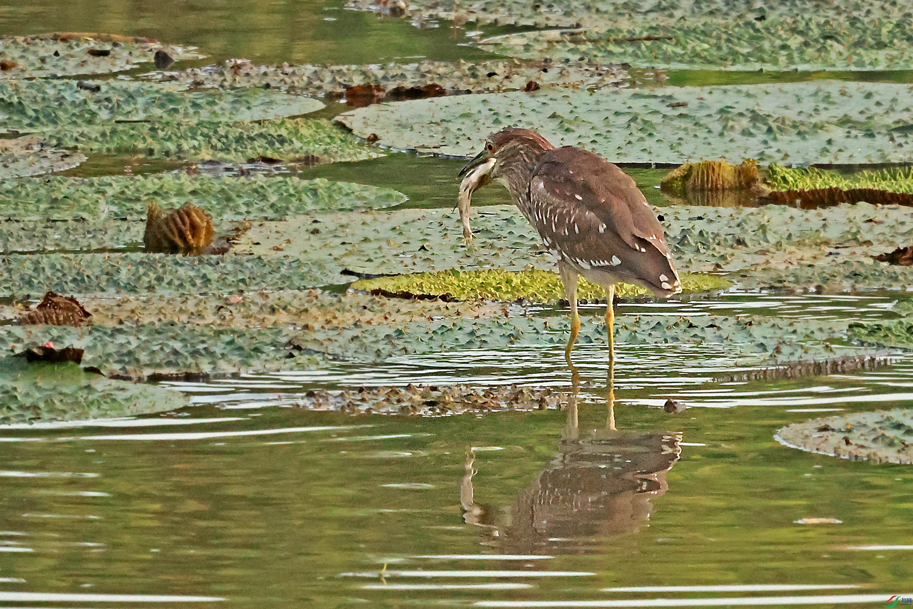 2G9A8335.JPG