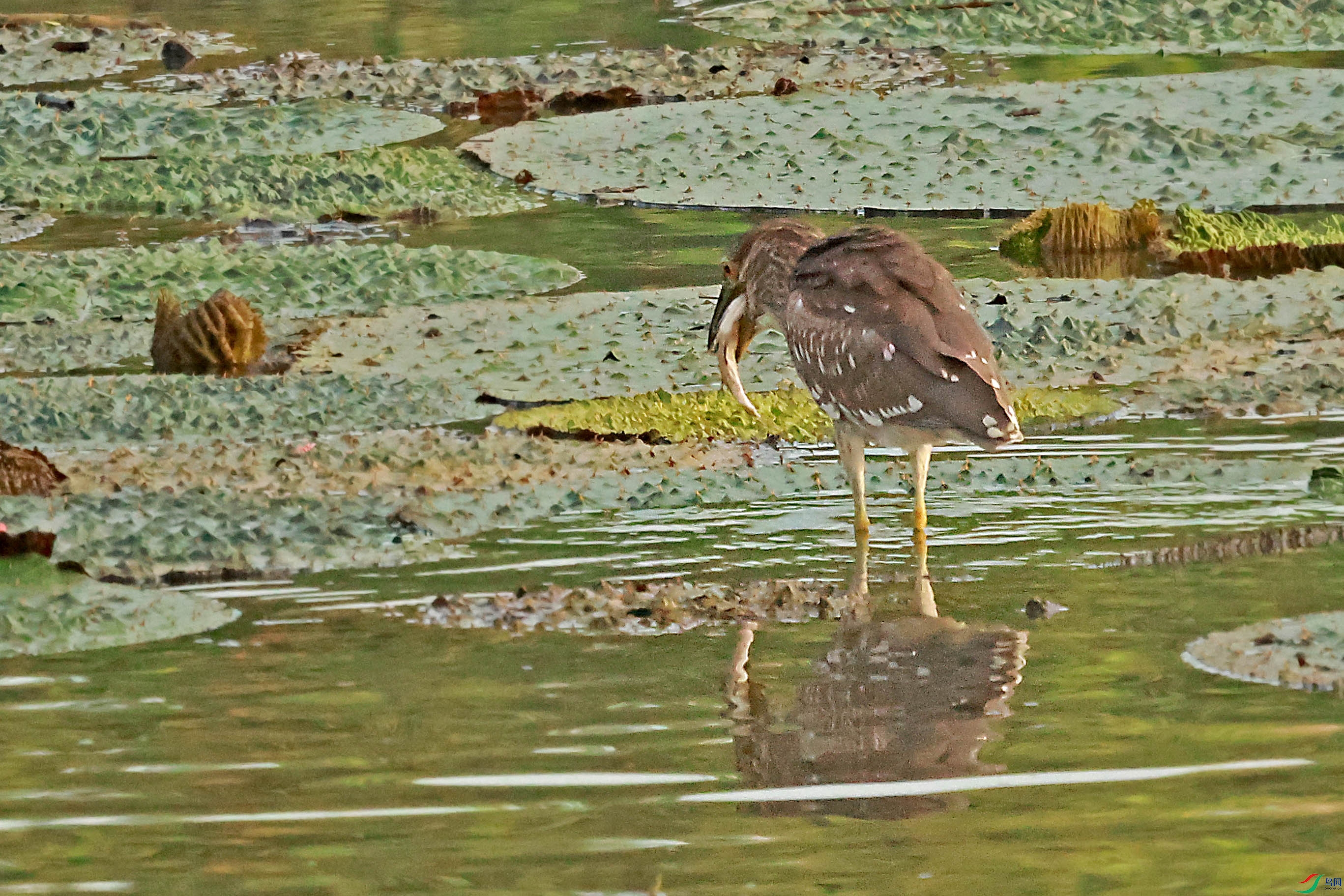 2G9A8345.JPG