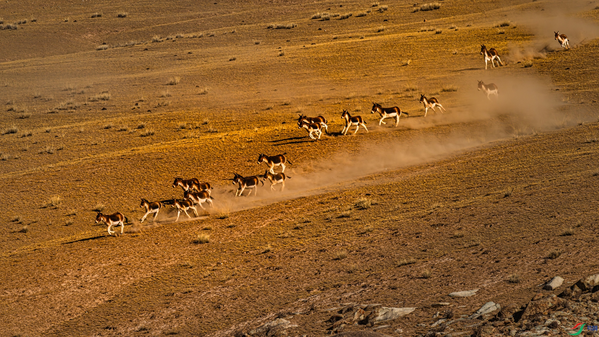 _DSC7300_����.jpg