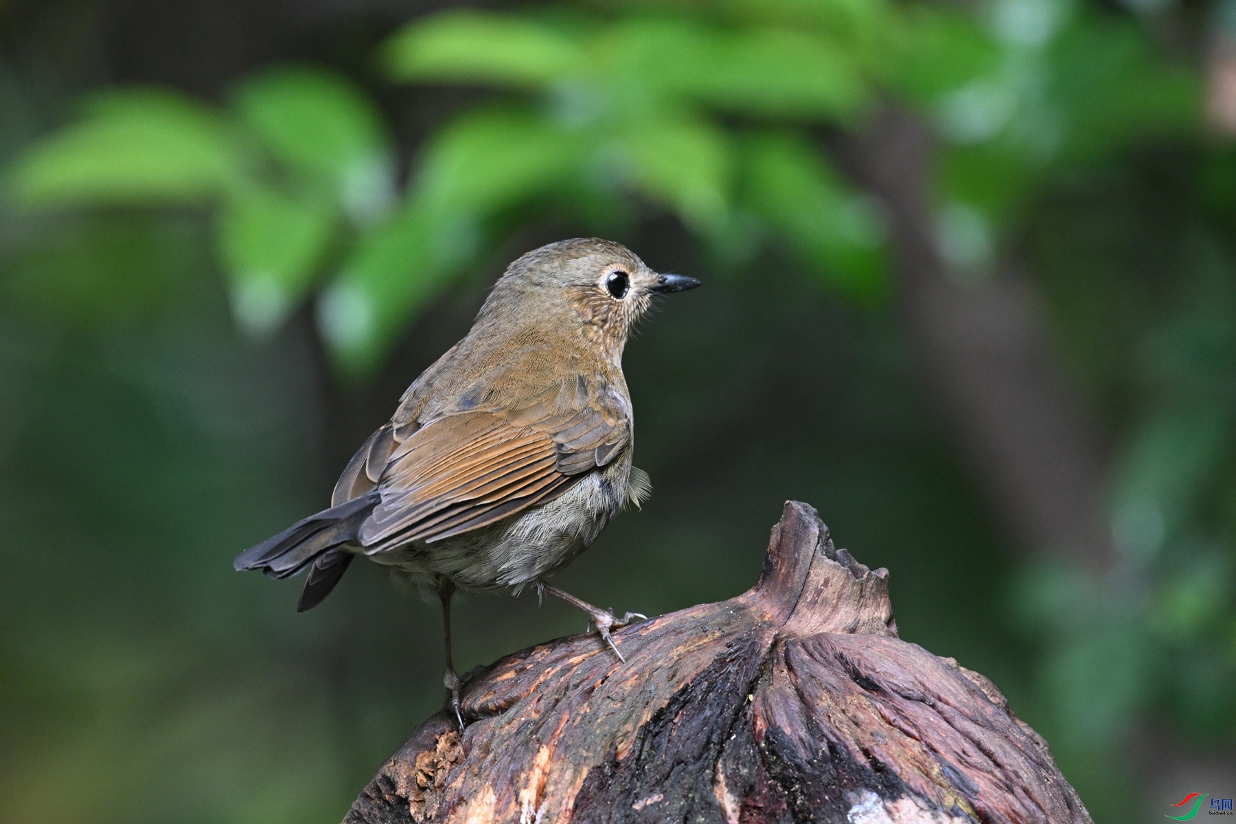 DSC_7288.JPG