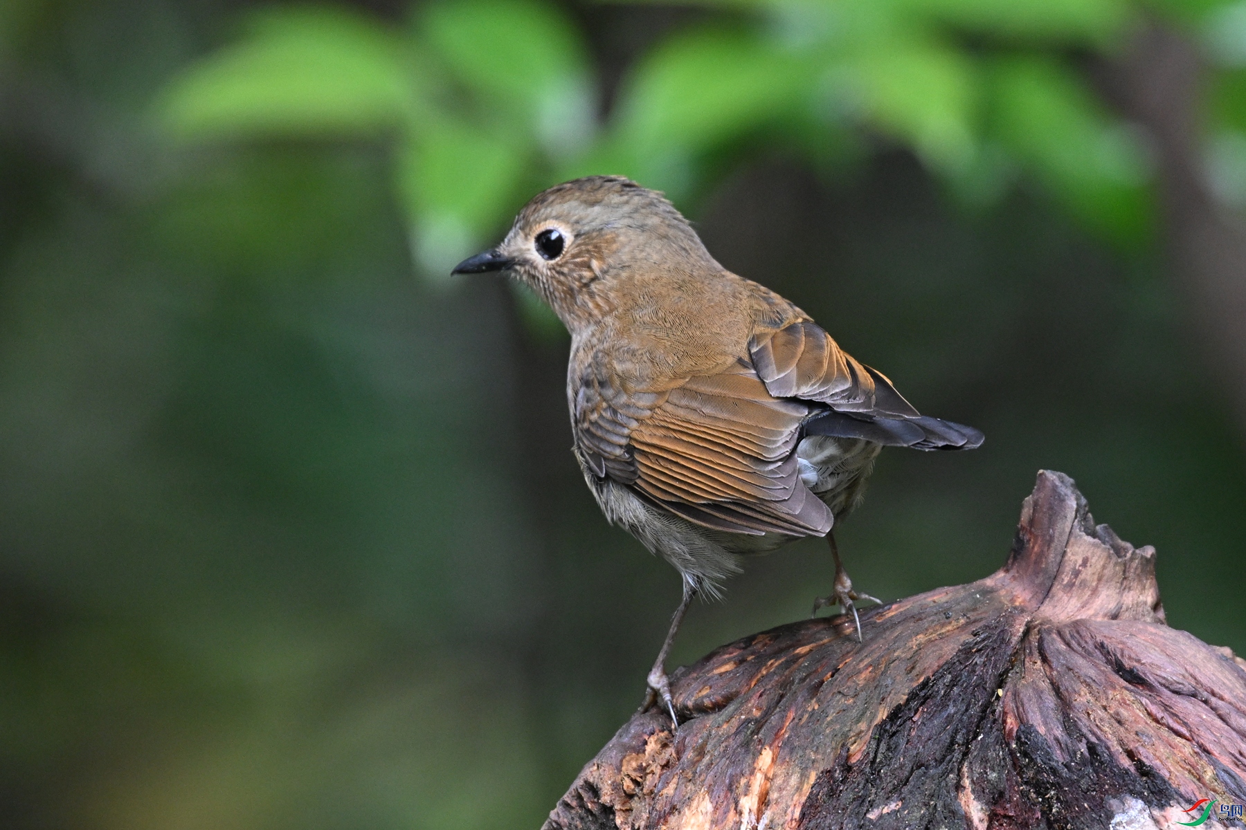 DSC_7291.JPG