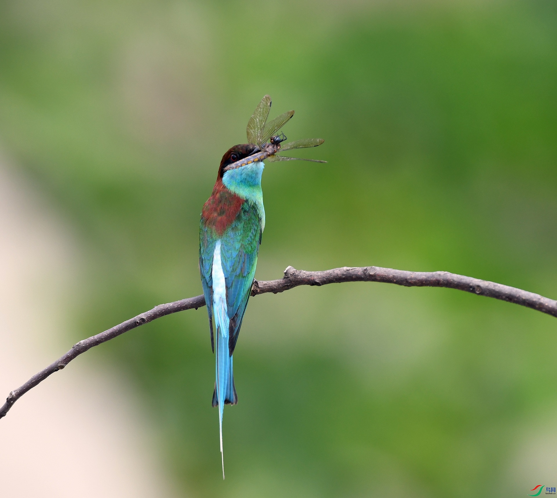 DSC_1192.jpg