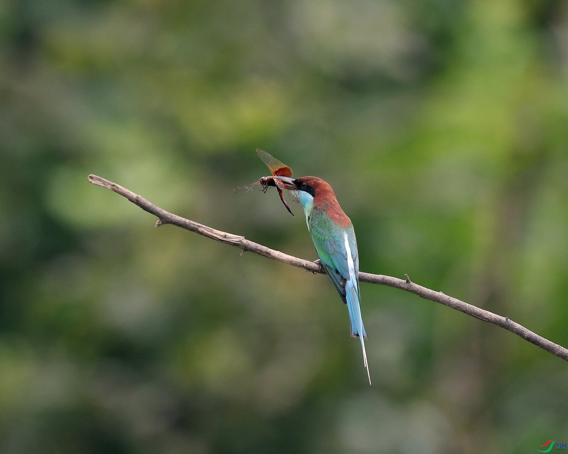 DSC_6426.jpg