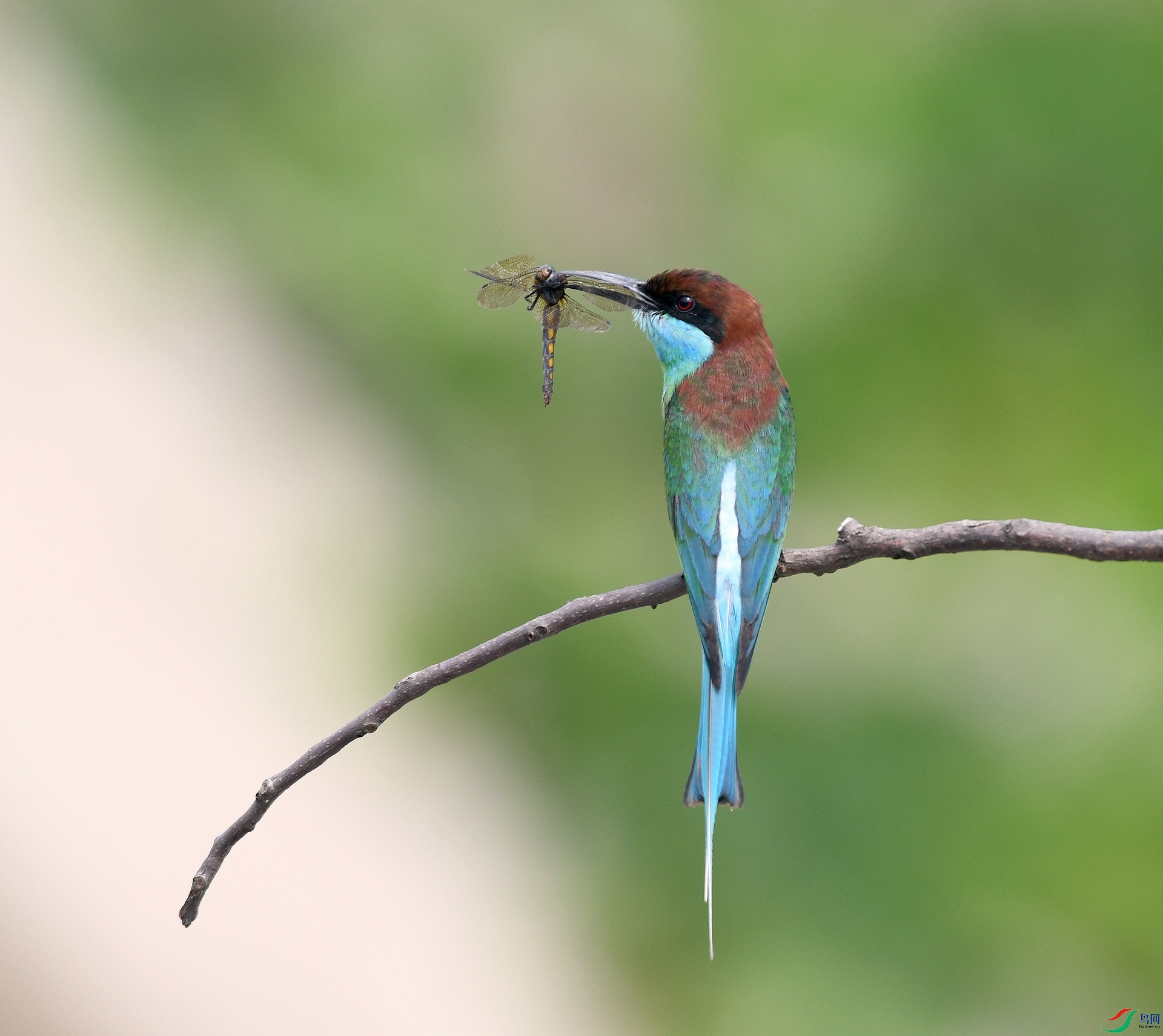 DSC_1144.jpg