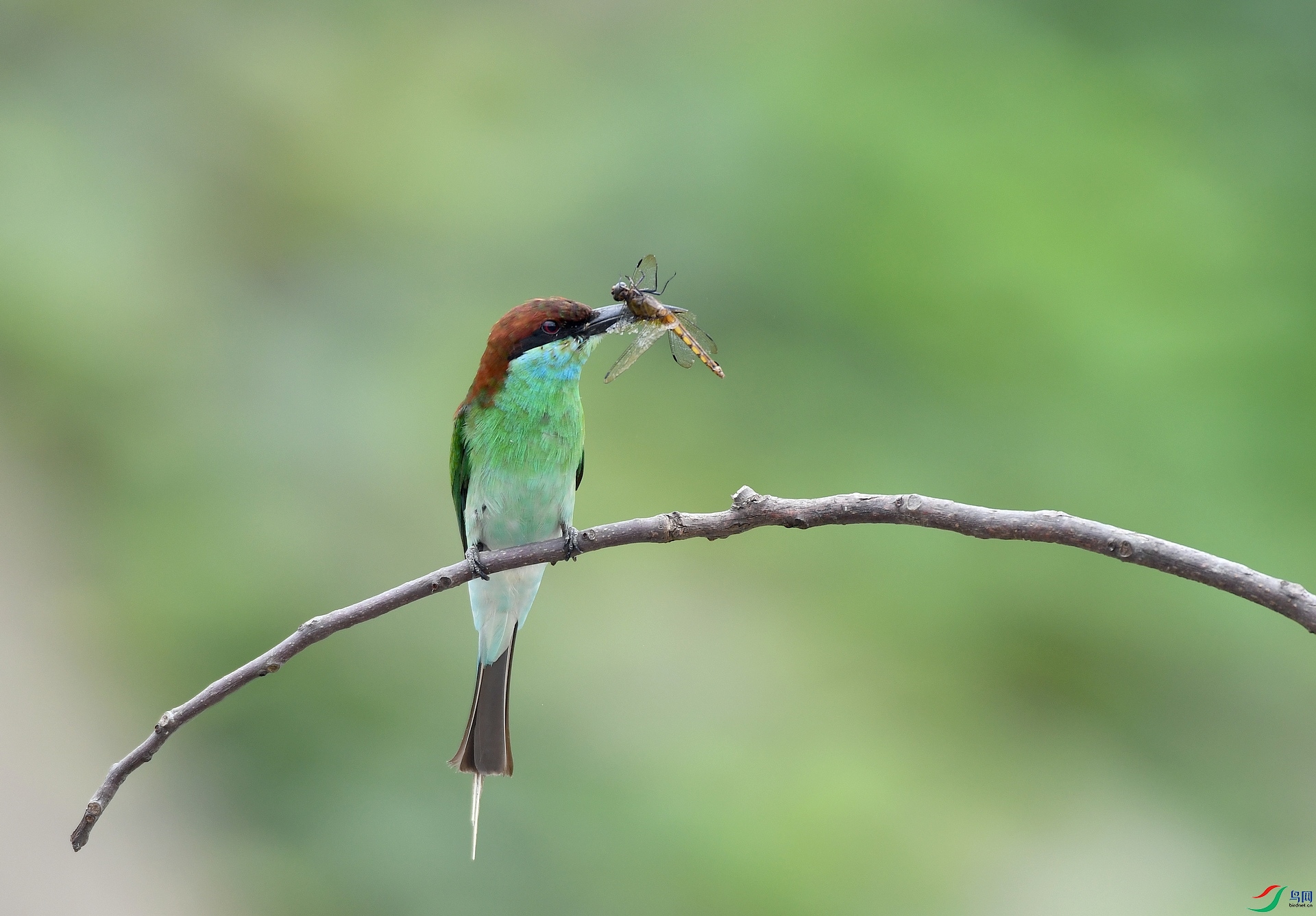 DSC_6012.jpg