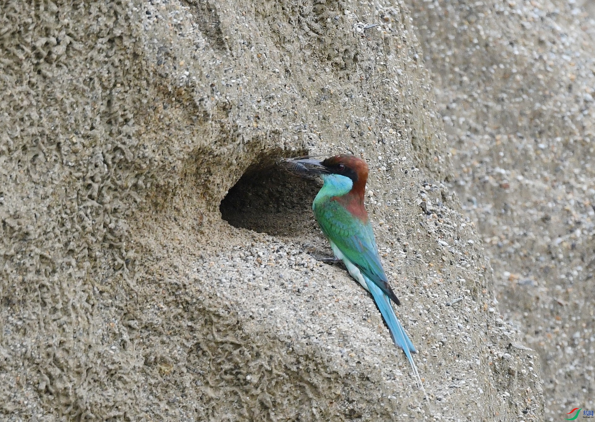 DSC_5711.jpg