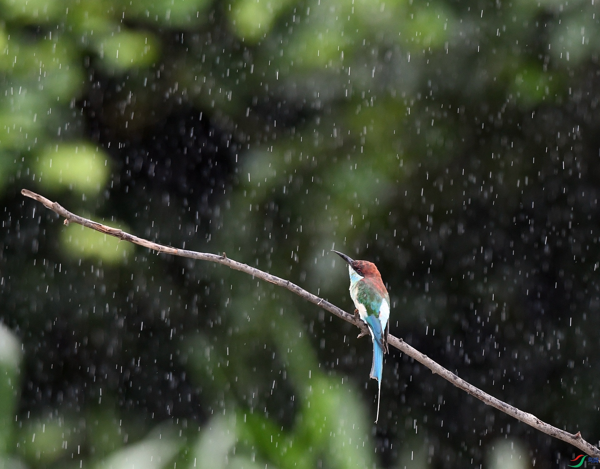DSC_4008.jpg