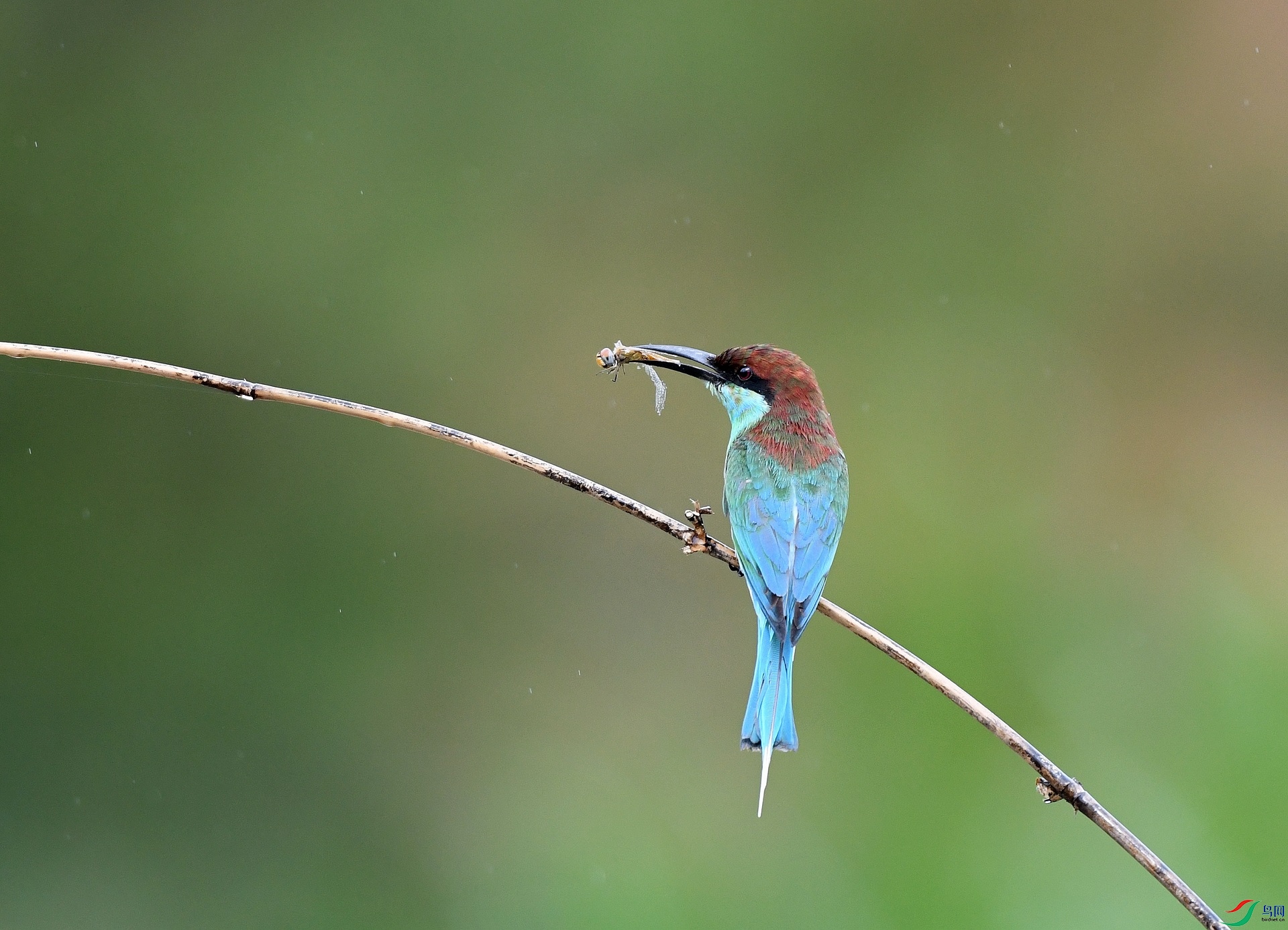 DSC_3744.jpg