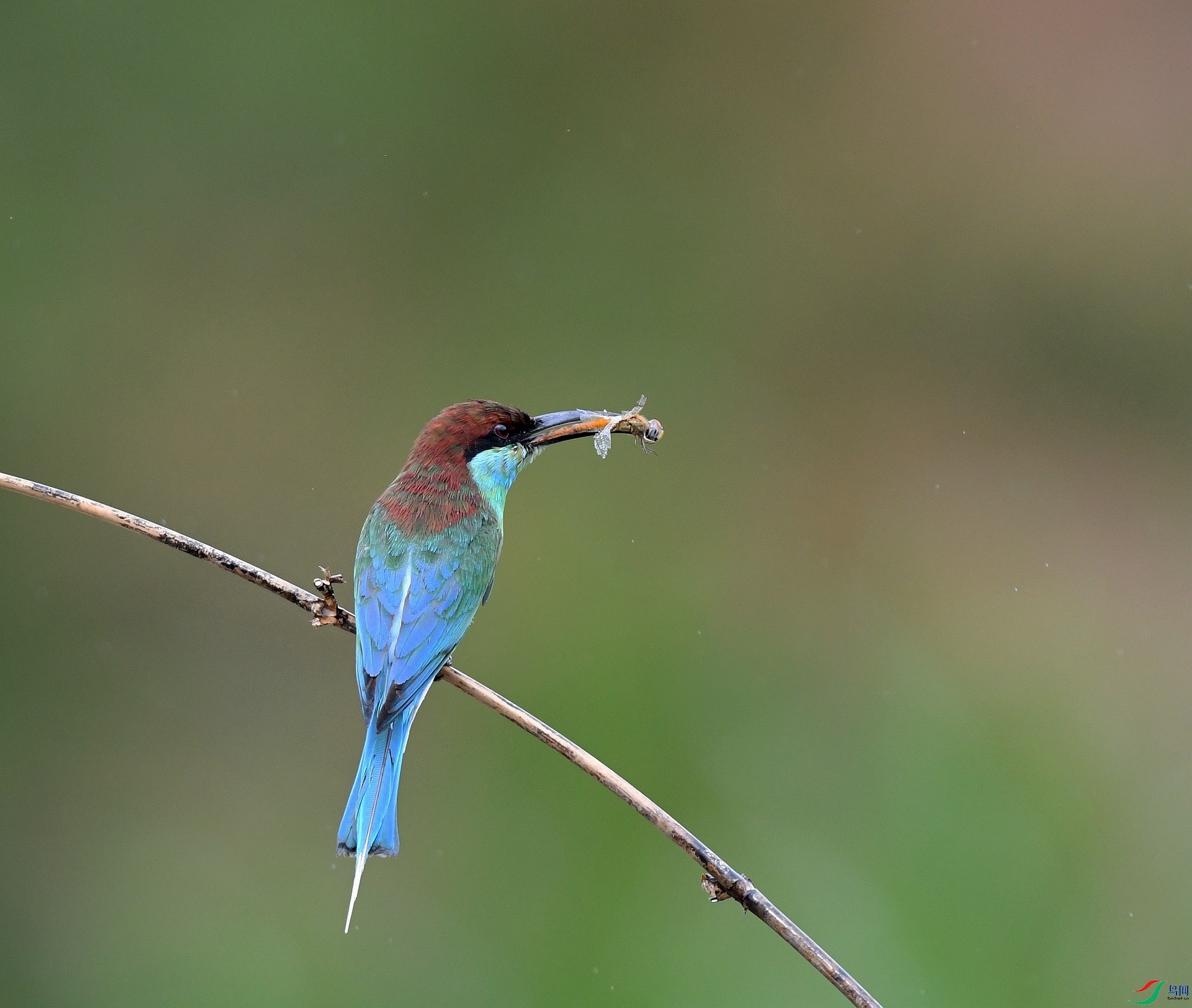 DSC_3742.jpg
