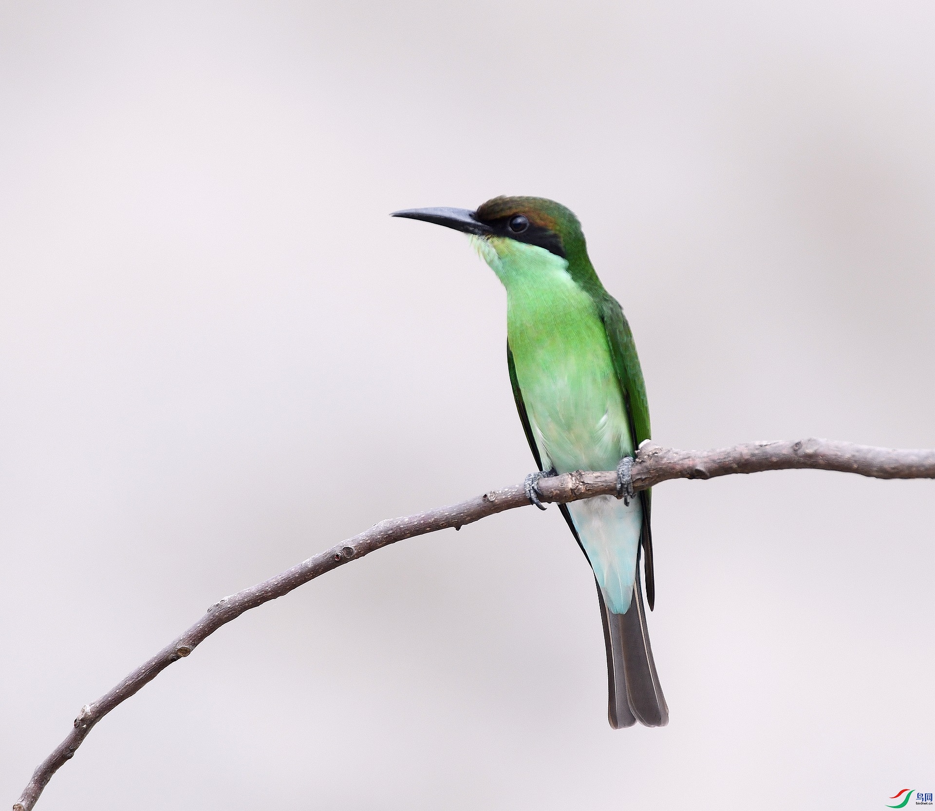 DSC_2768.jpg