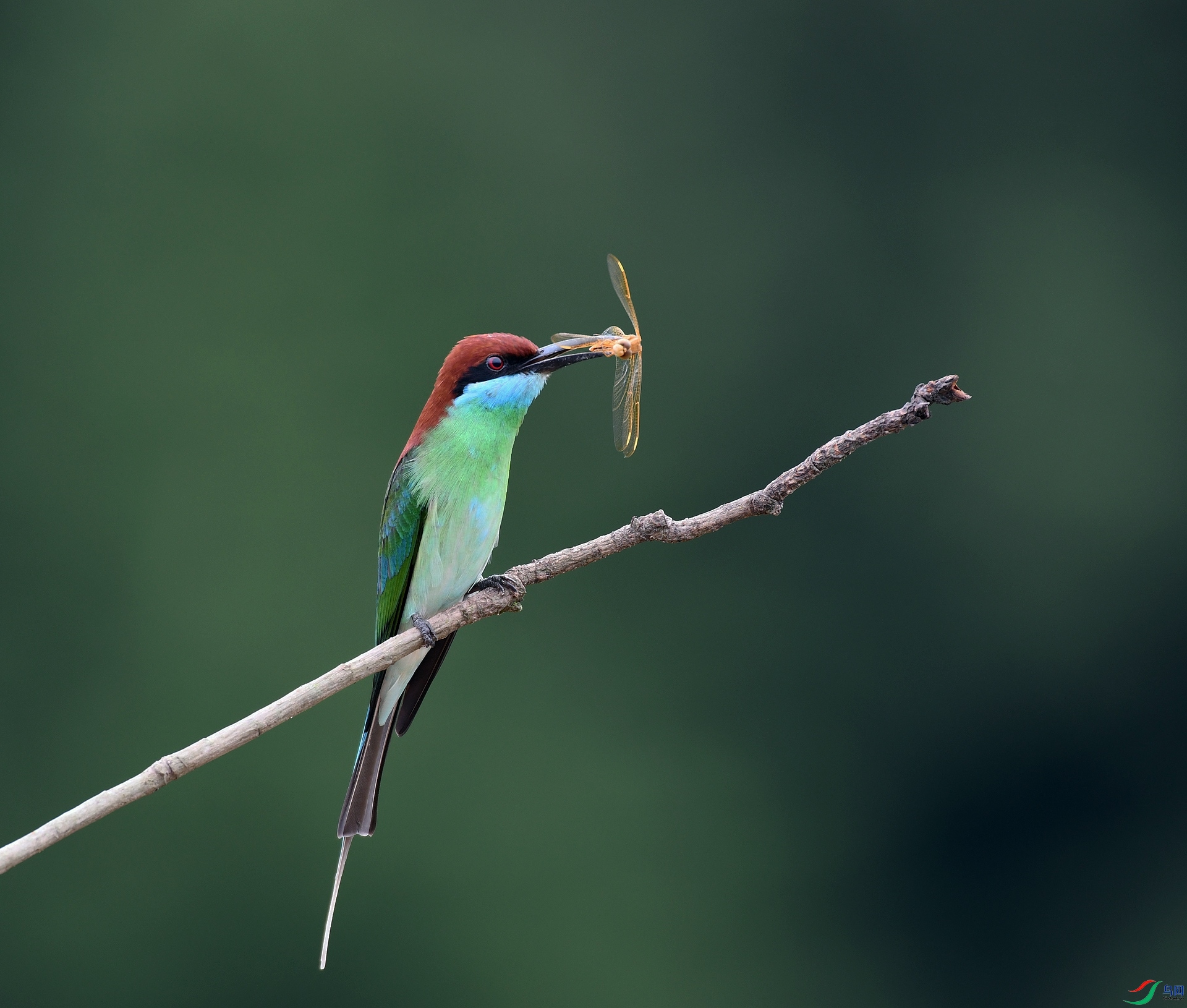 DSC_5700.jpg