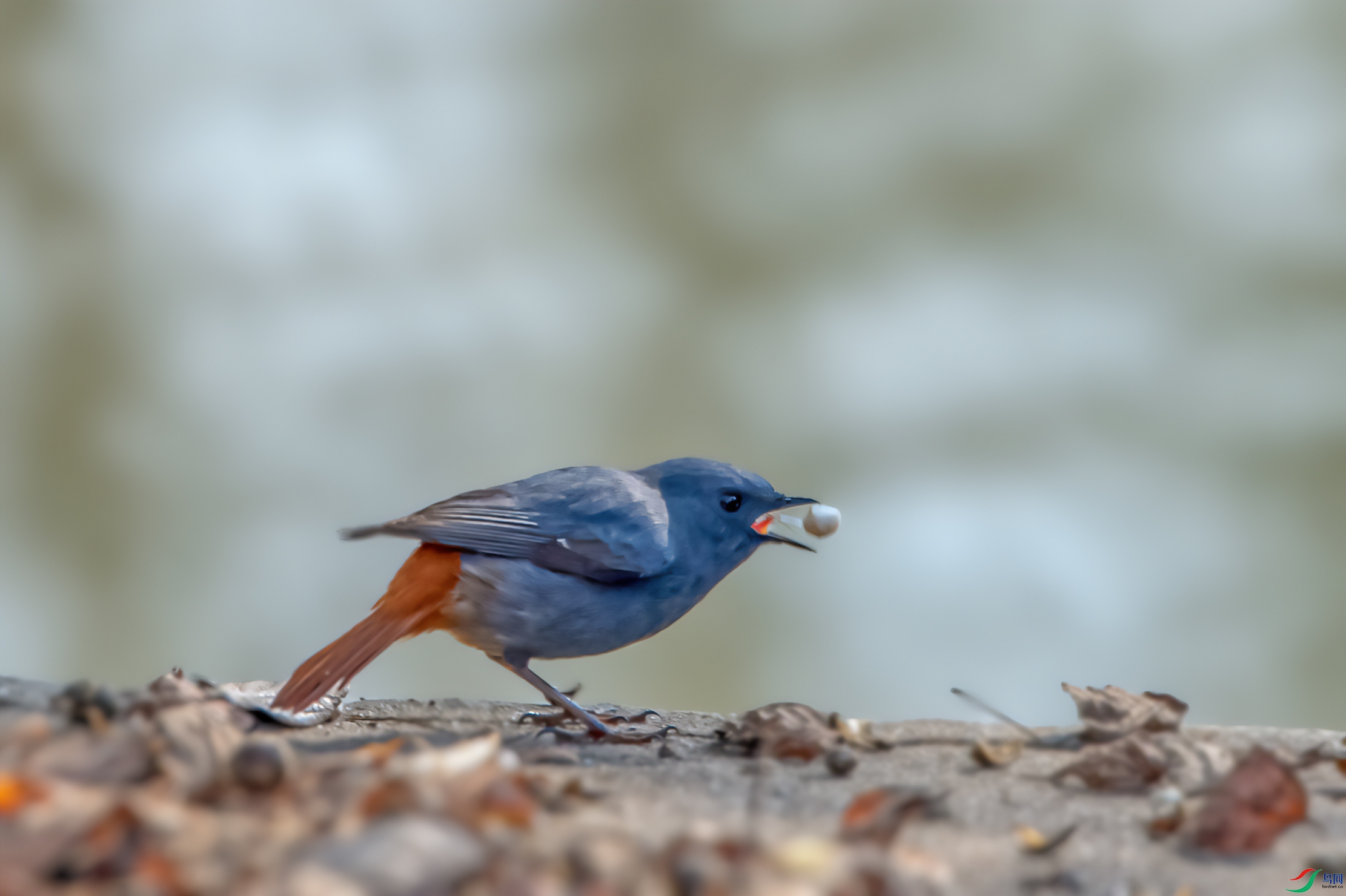 DSC_3989.jpg
