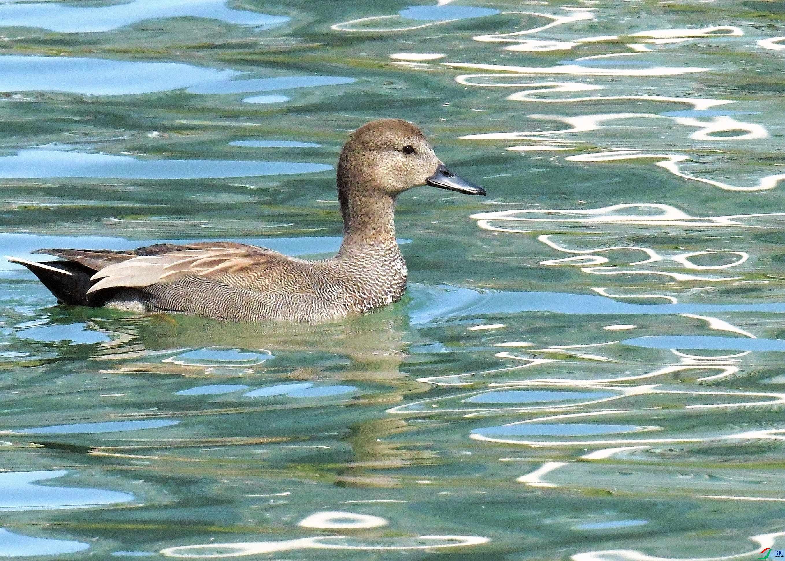 DSC_8637.JPG