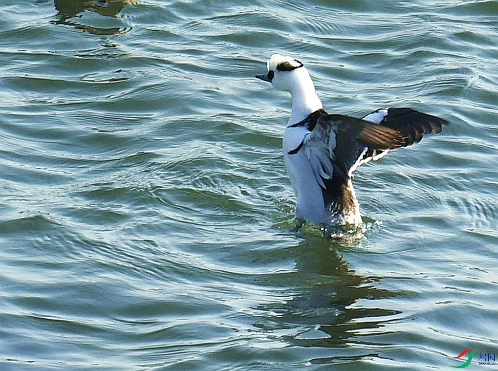 DSC_4838.jpg
