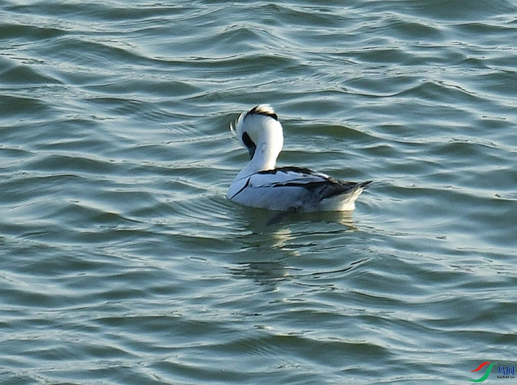 DSC_4922.jpg