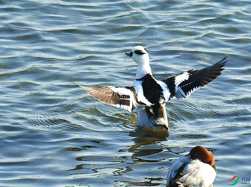 DSC_4879.jpg