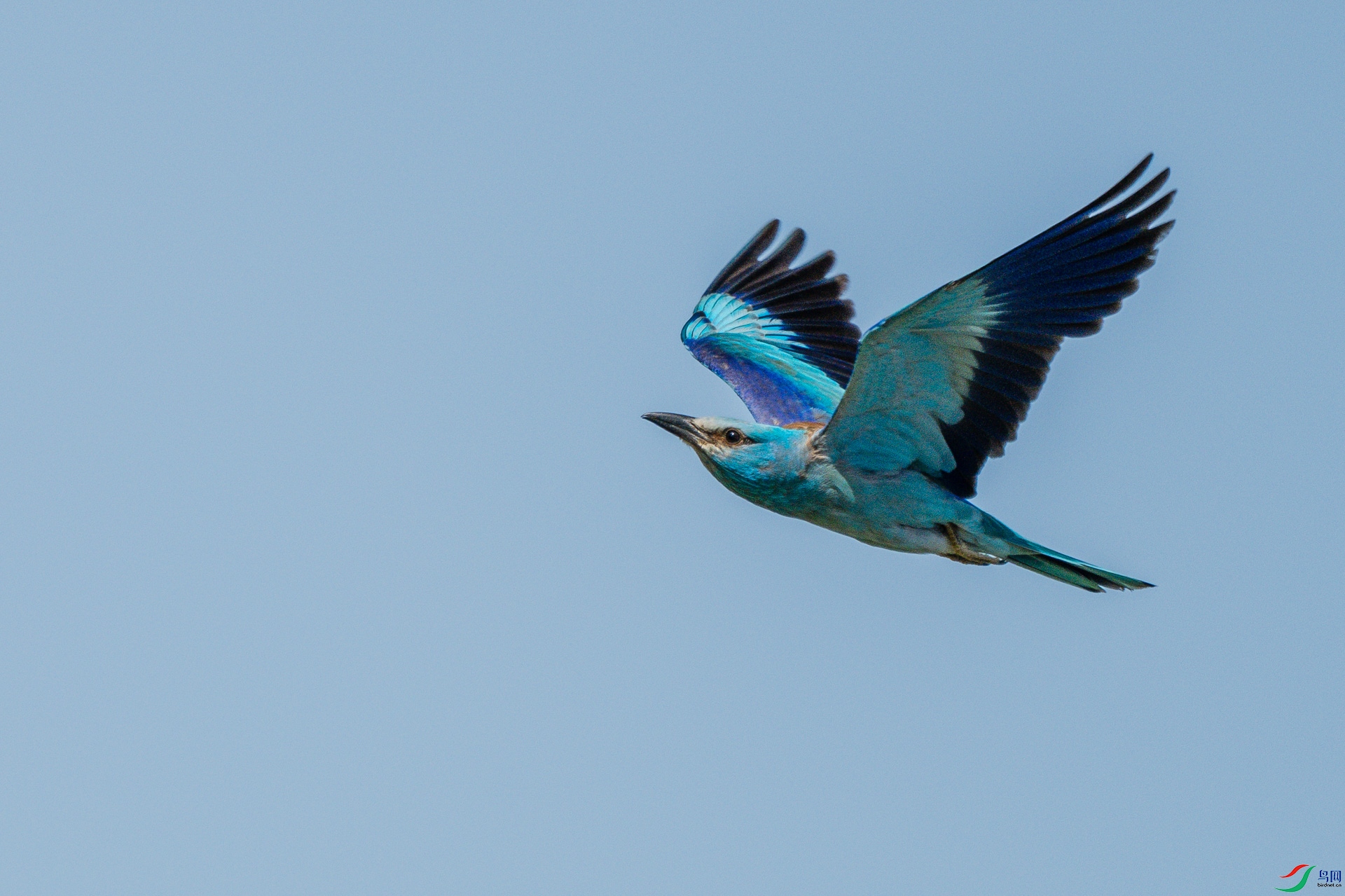 DSC_1820.jpg