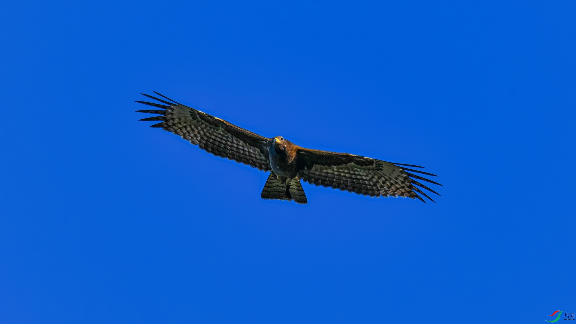 DSC_1012_��ͼ��.jpg