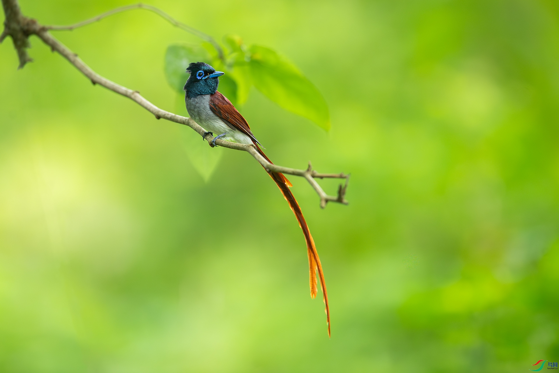 DSC_5801.jpg