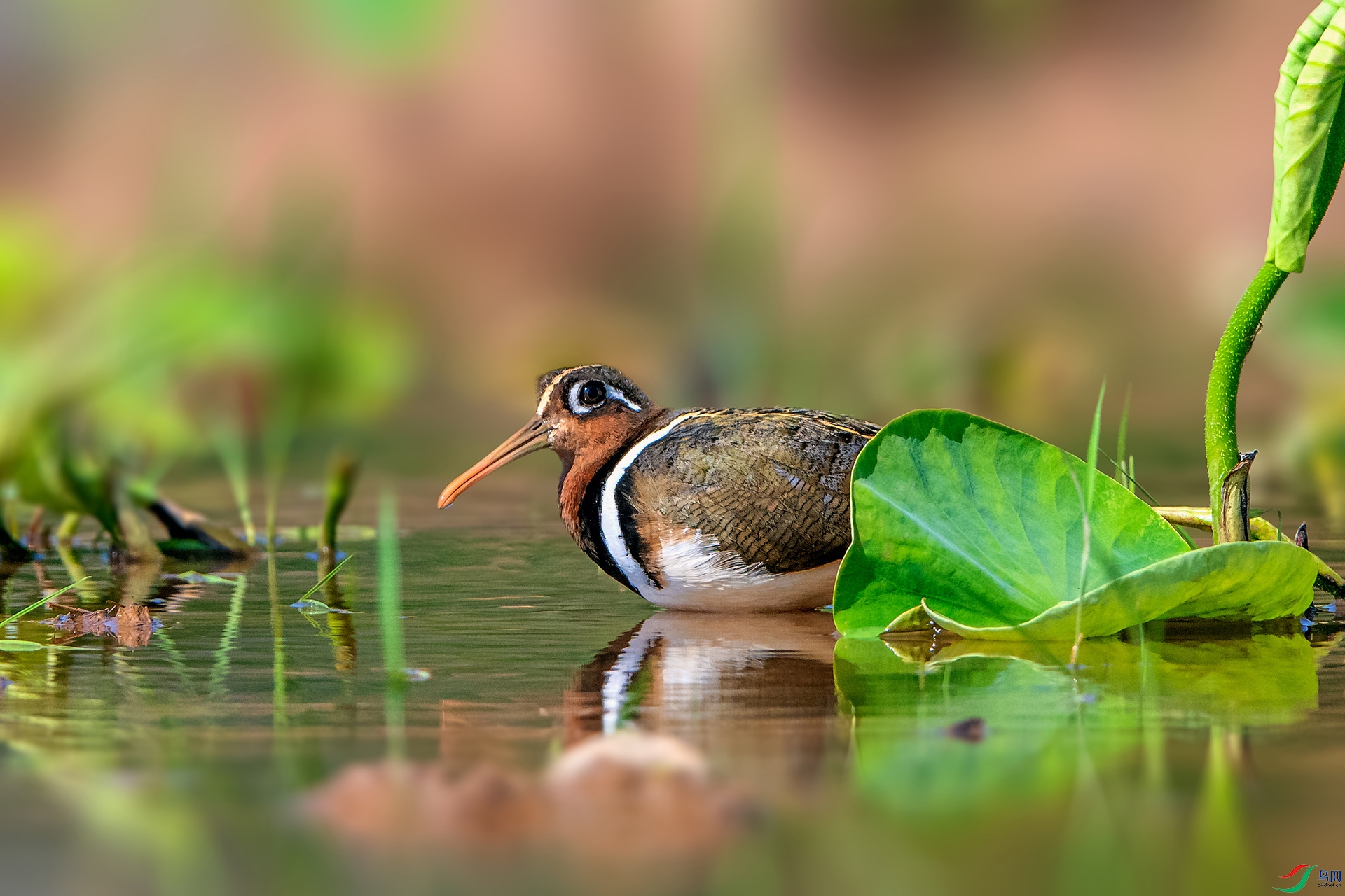_AUU2224����(24.5.4).jpg