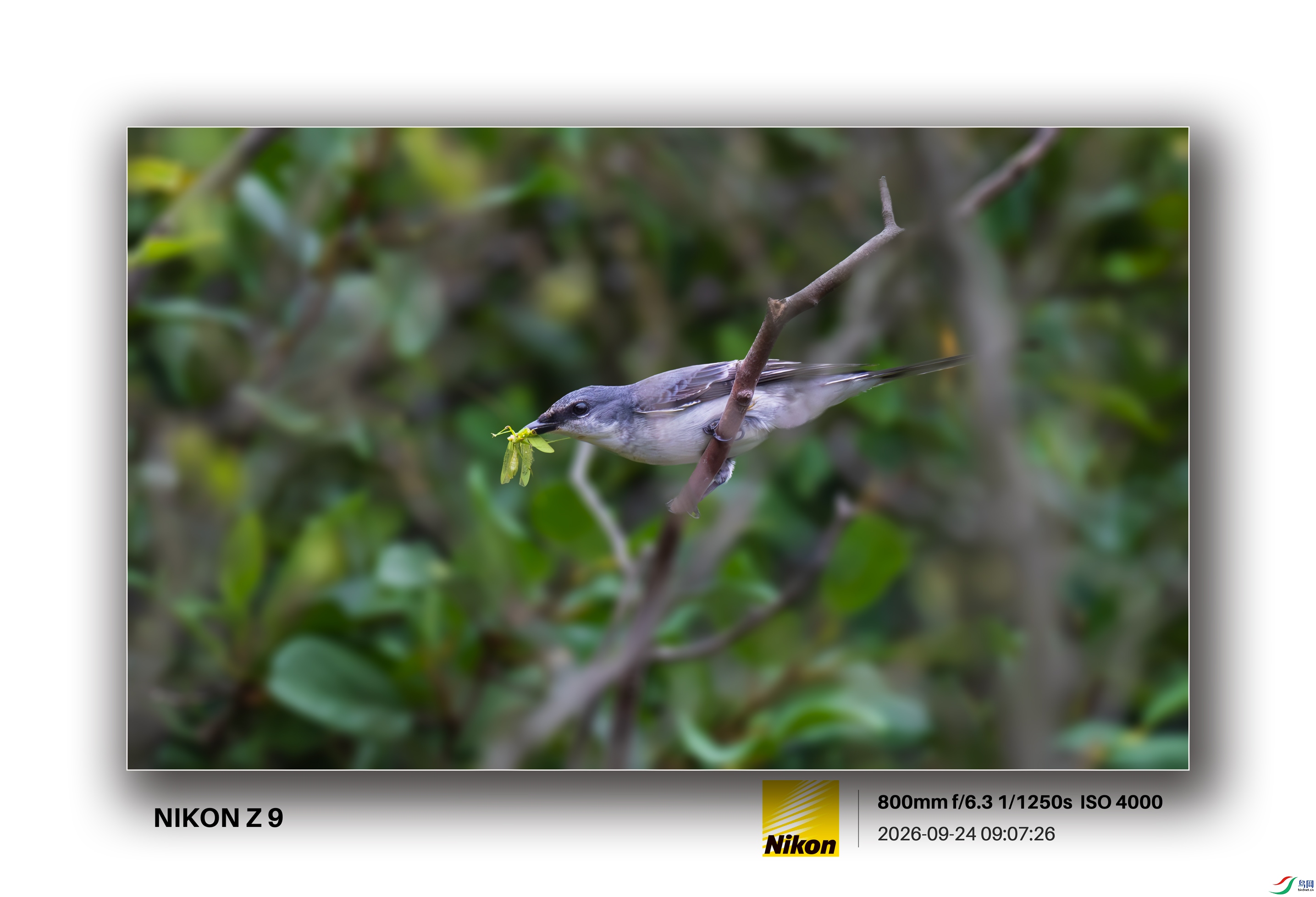 DSC_9663.jpg