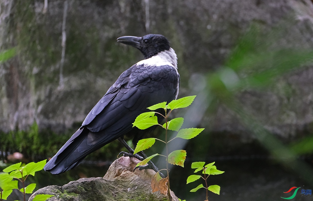 DSCF8282.1.jpg