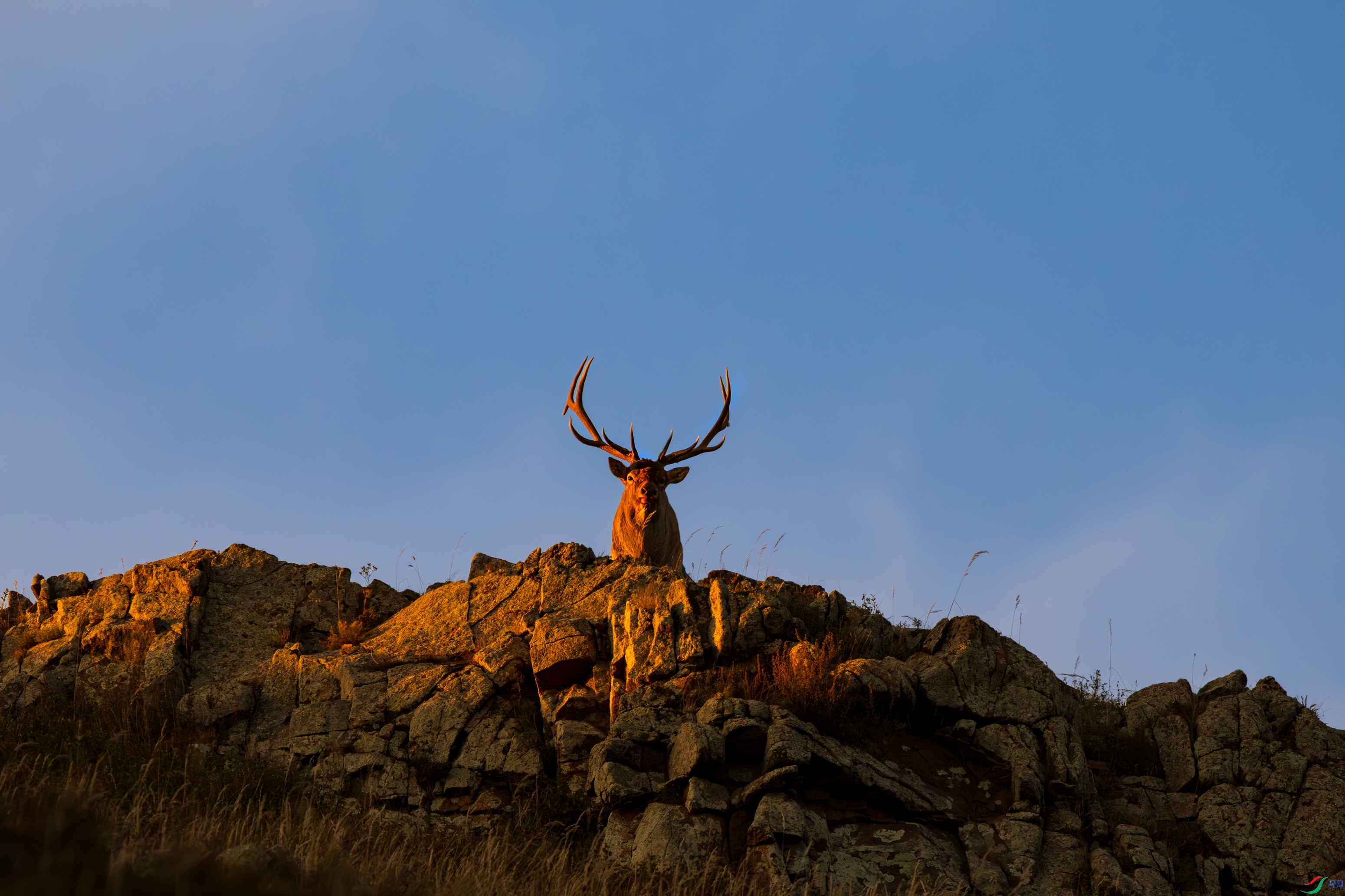 _DSC3797-1.jpg