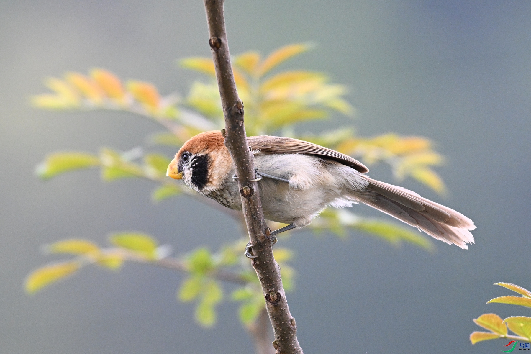 DSC_7416.JPG