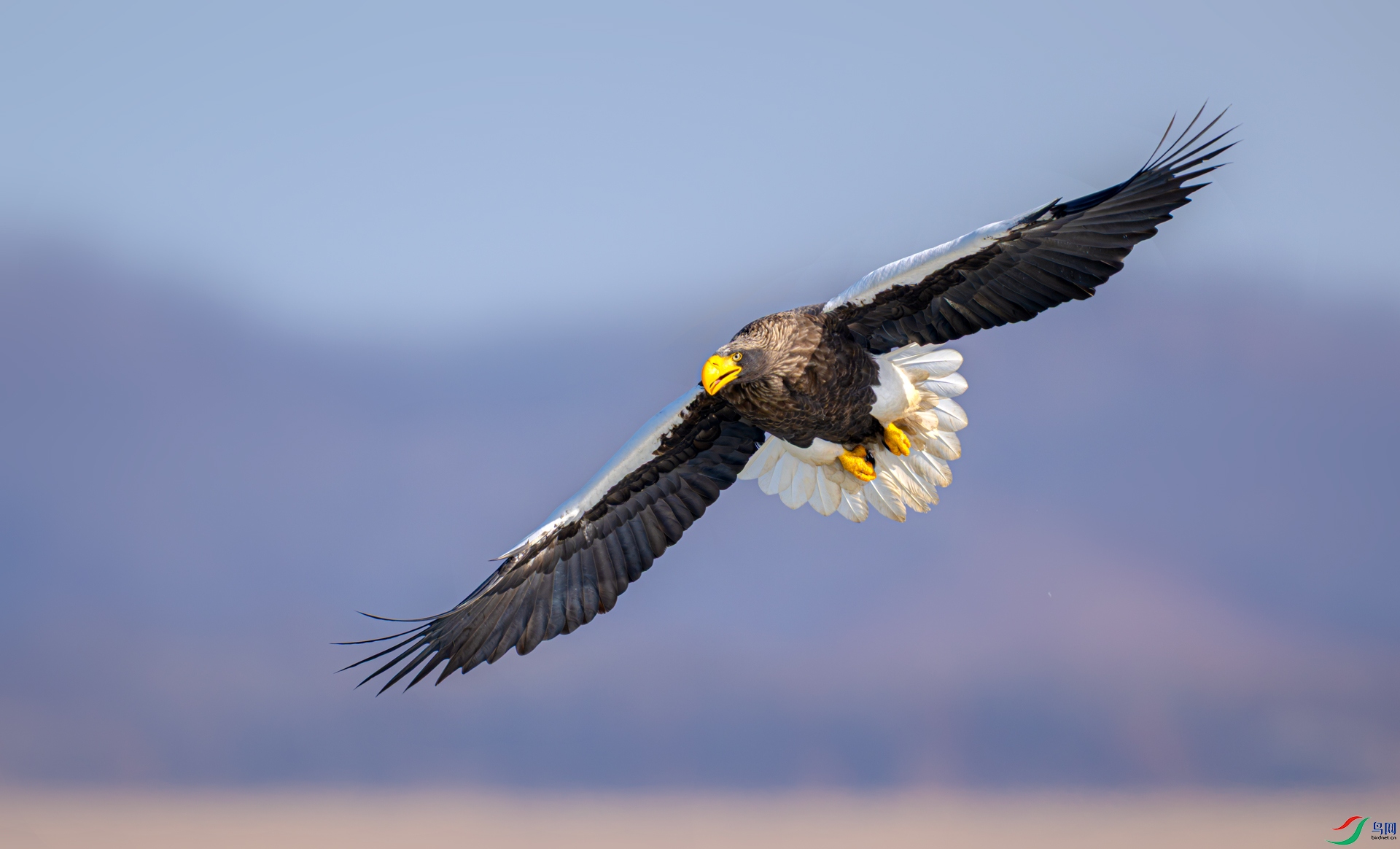 _DSC5615xx.jpg