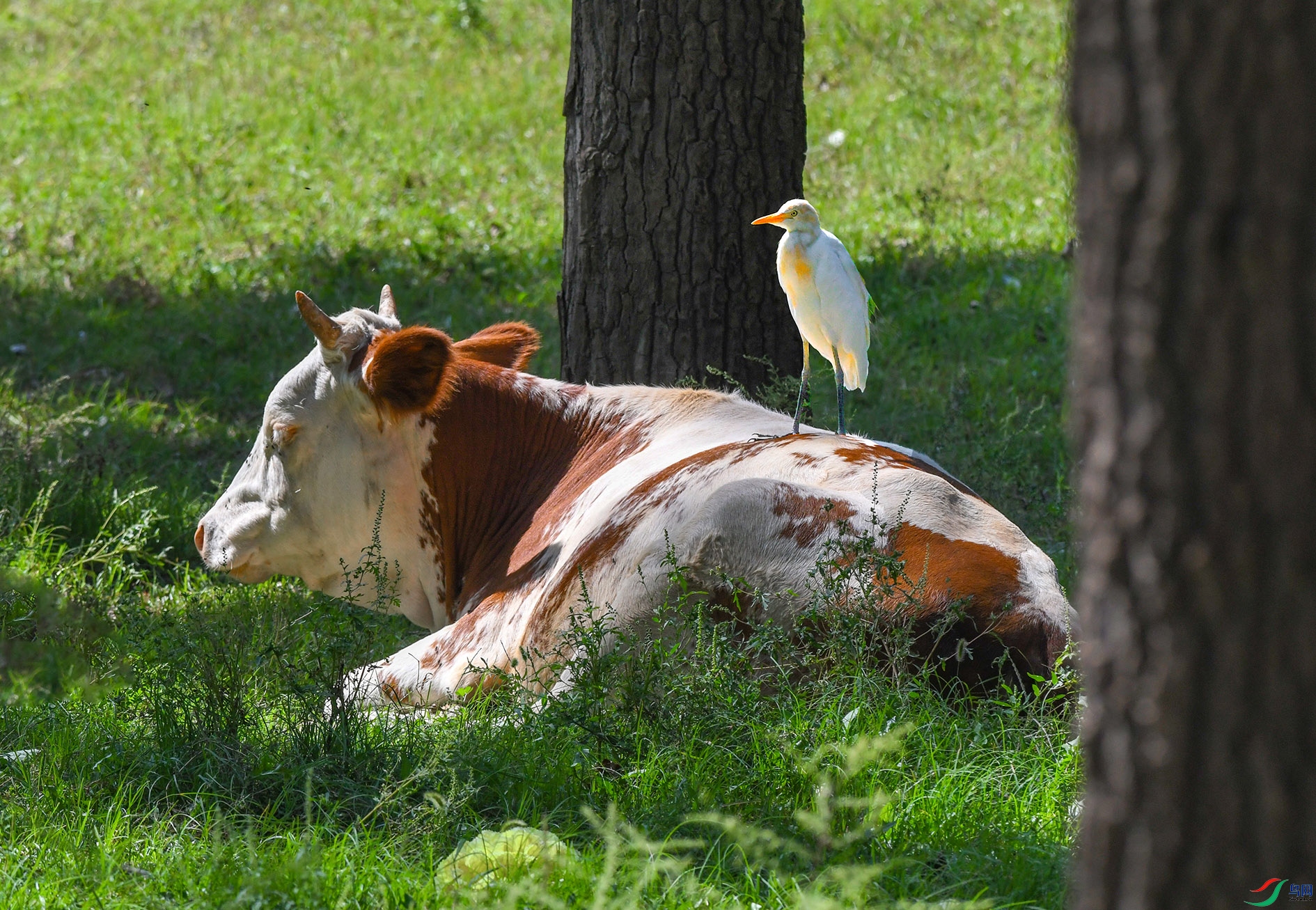 DSC_0953_��ͼ�� ����.jpg