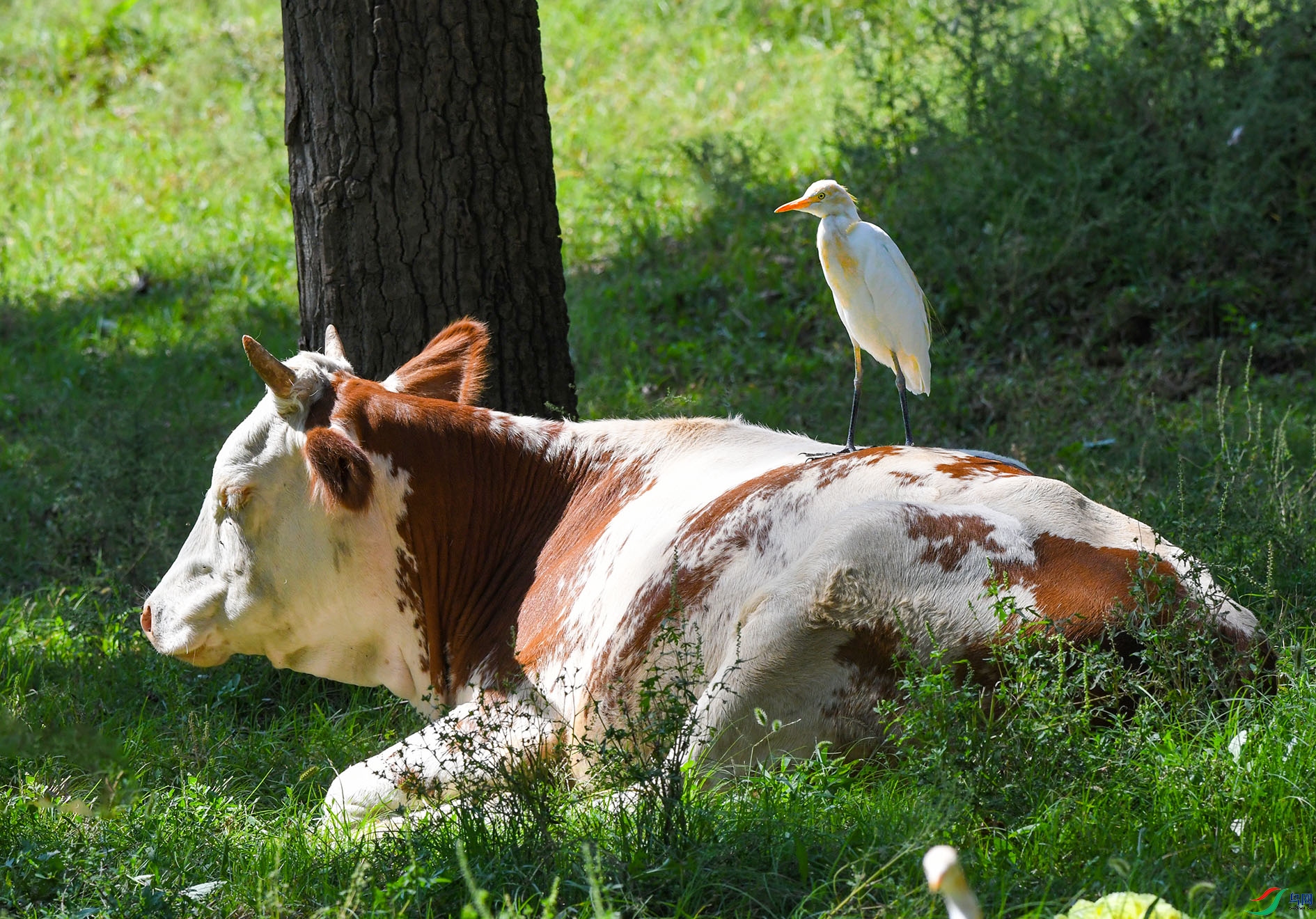 DSC_0958_��ͼ�� ����.jpg