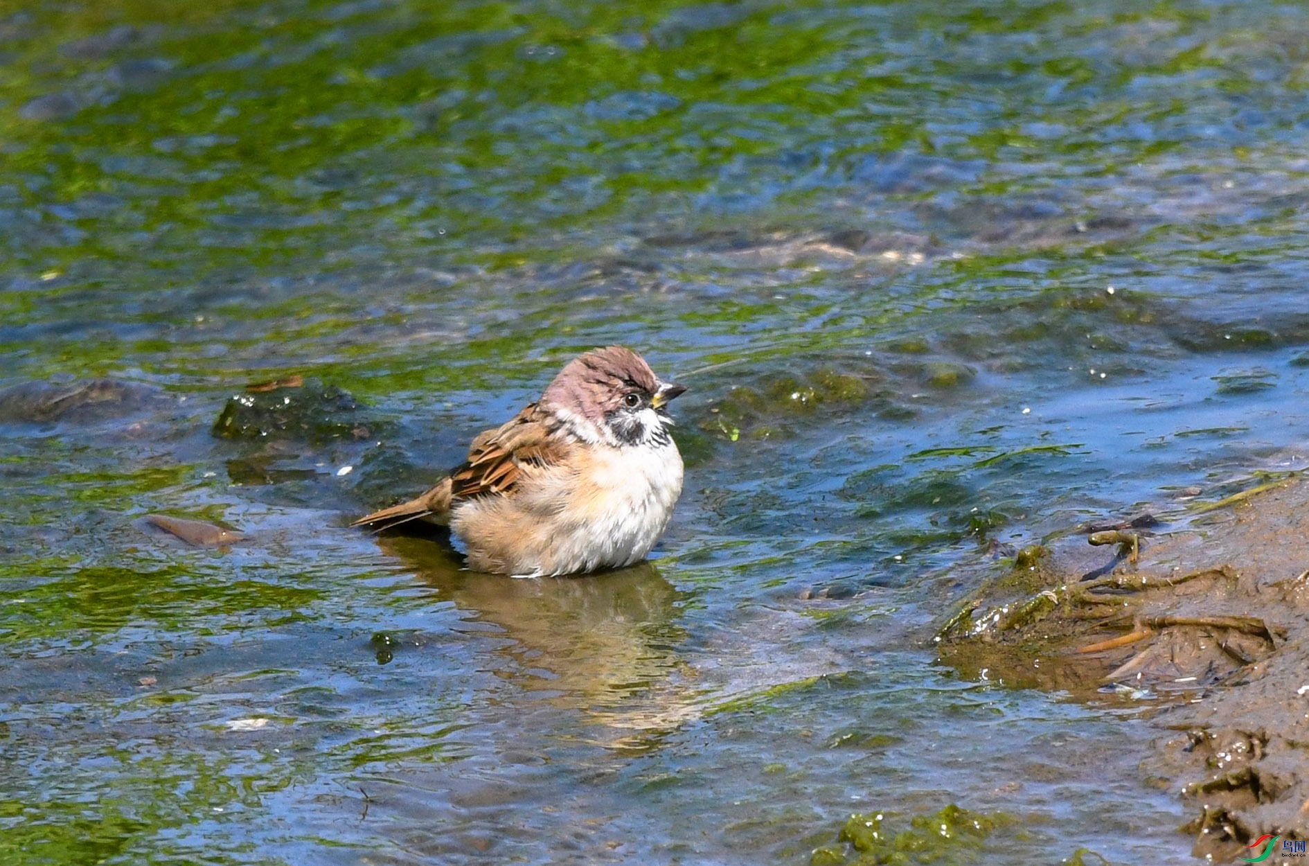 DSC_2602_��ͼ�� ����.jpg