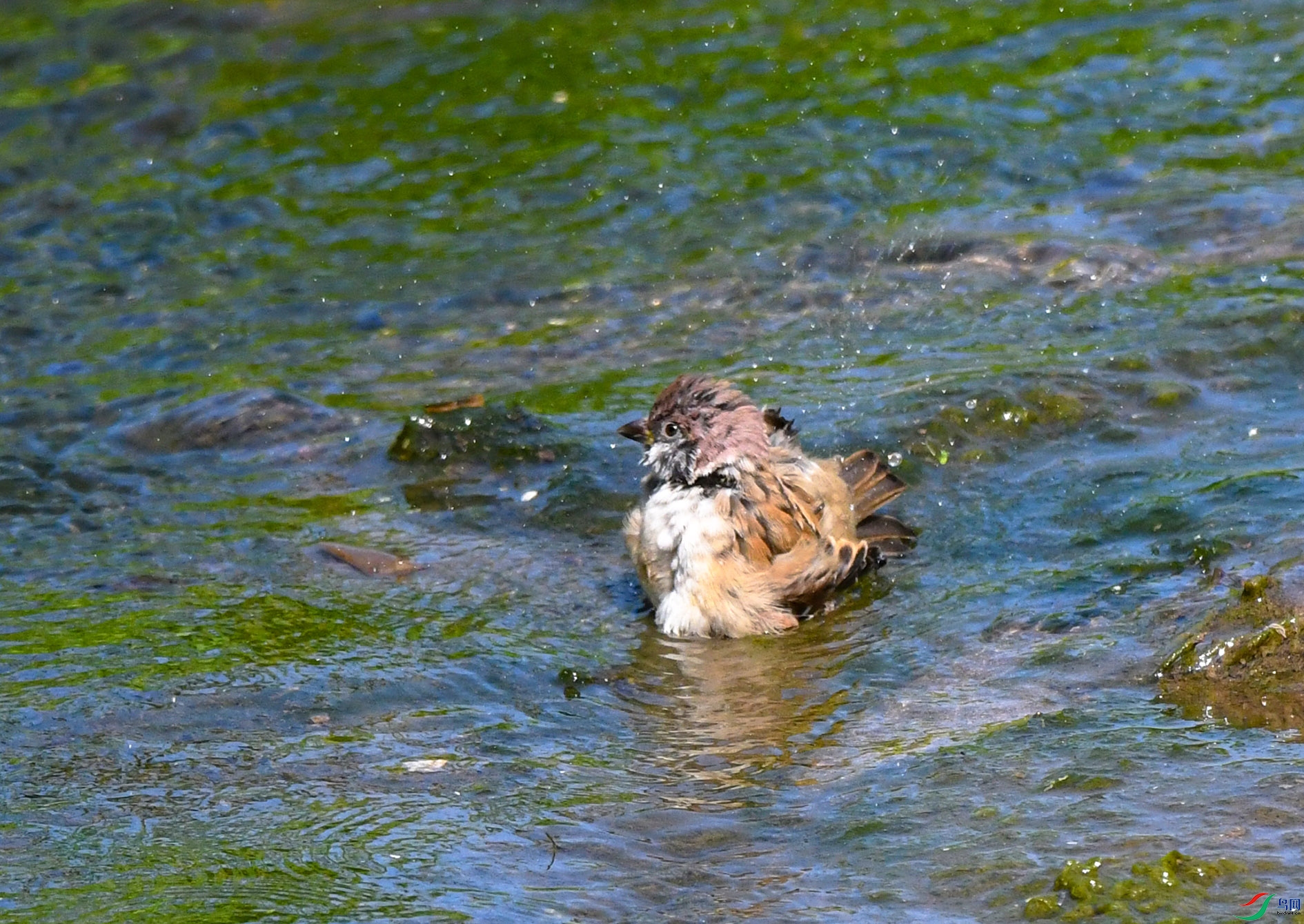 DSC_2606_��ͼ�� ����.jpg