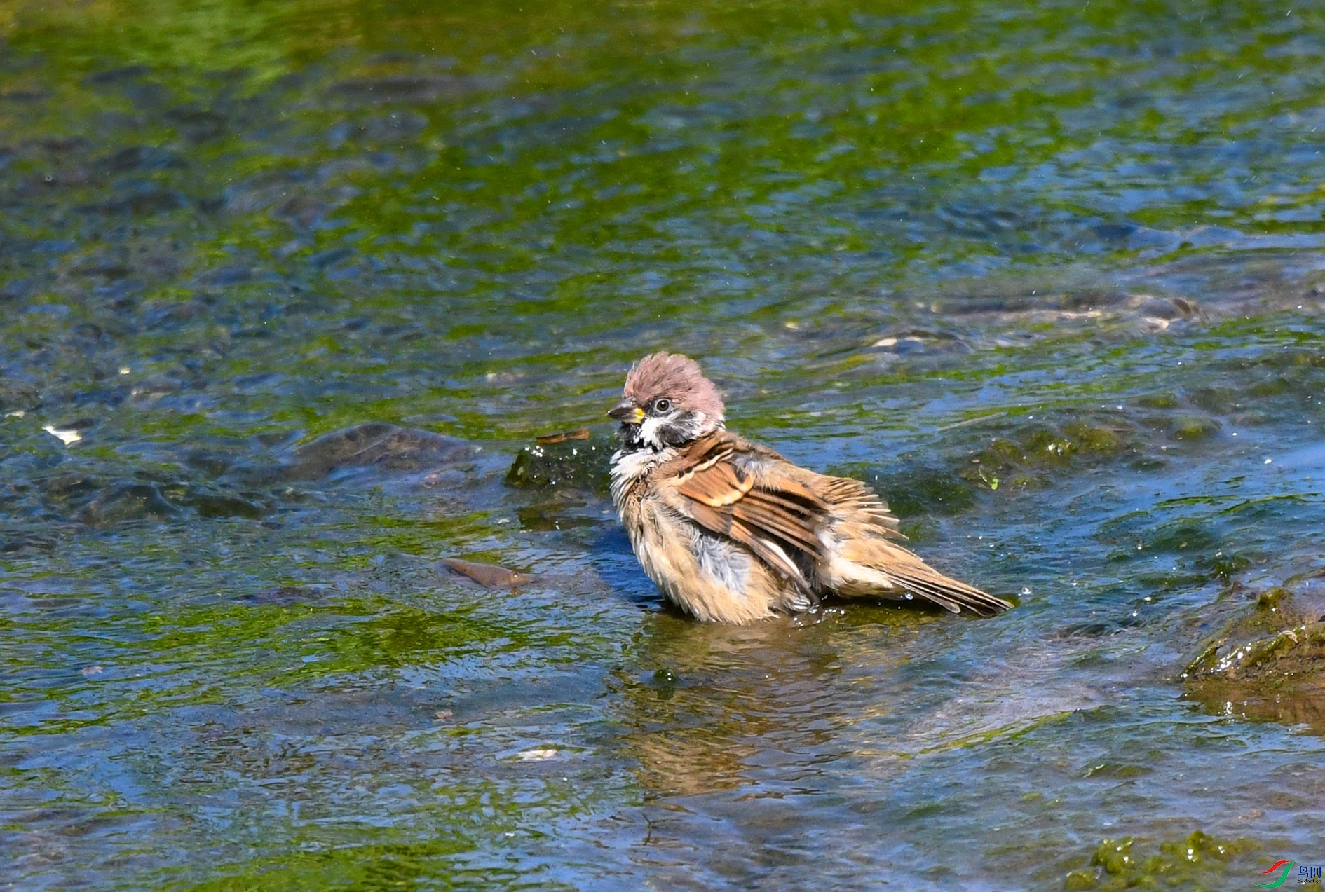 DSC_2599_��ͼ�� ����.jpg