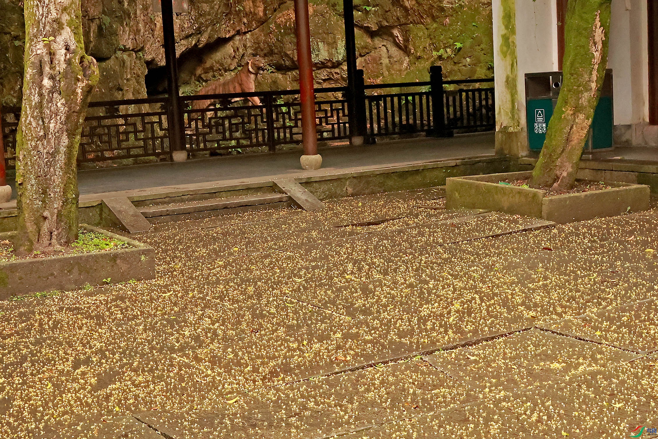 2G9A0069.JPG