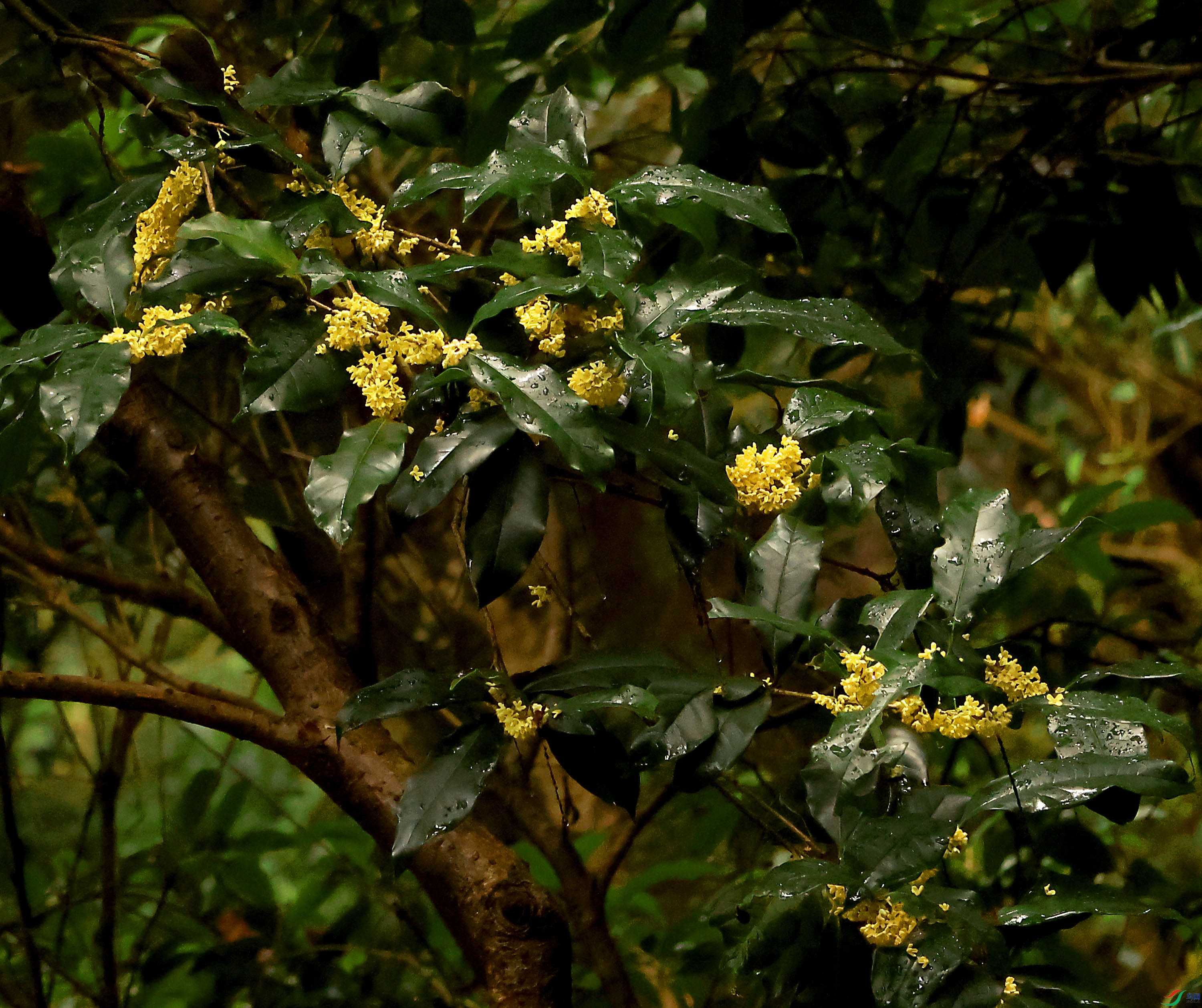 2G9A0101.JPG