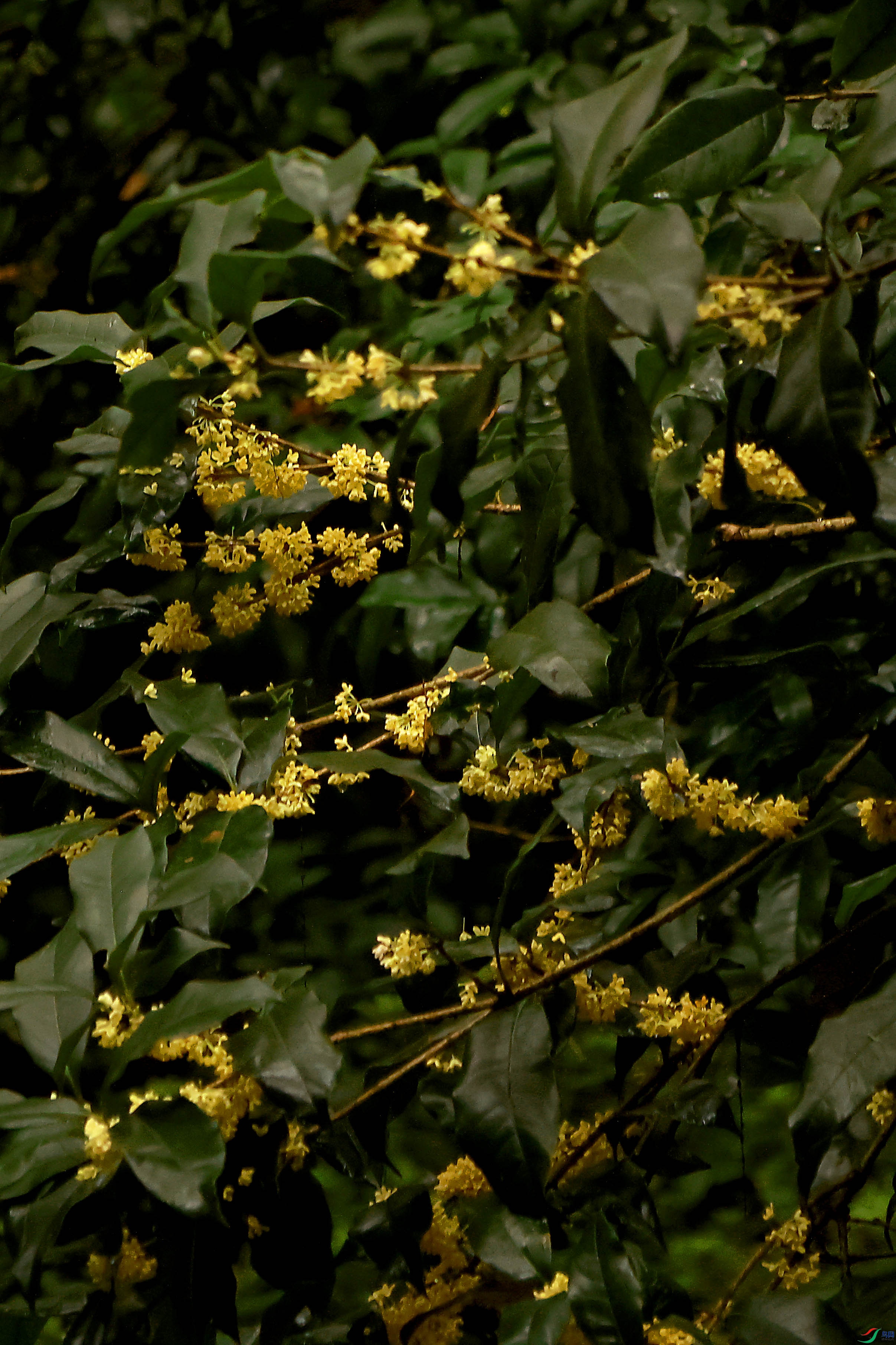 2G9A0114.JPG