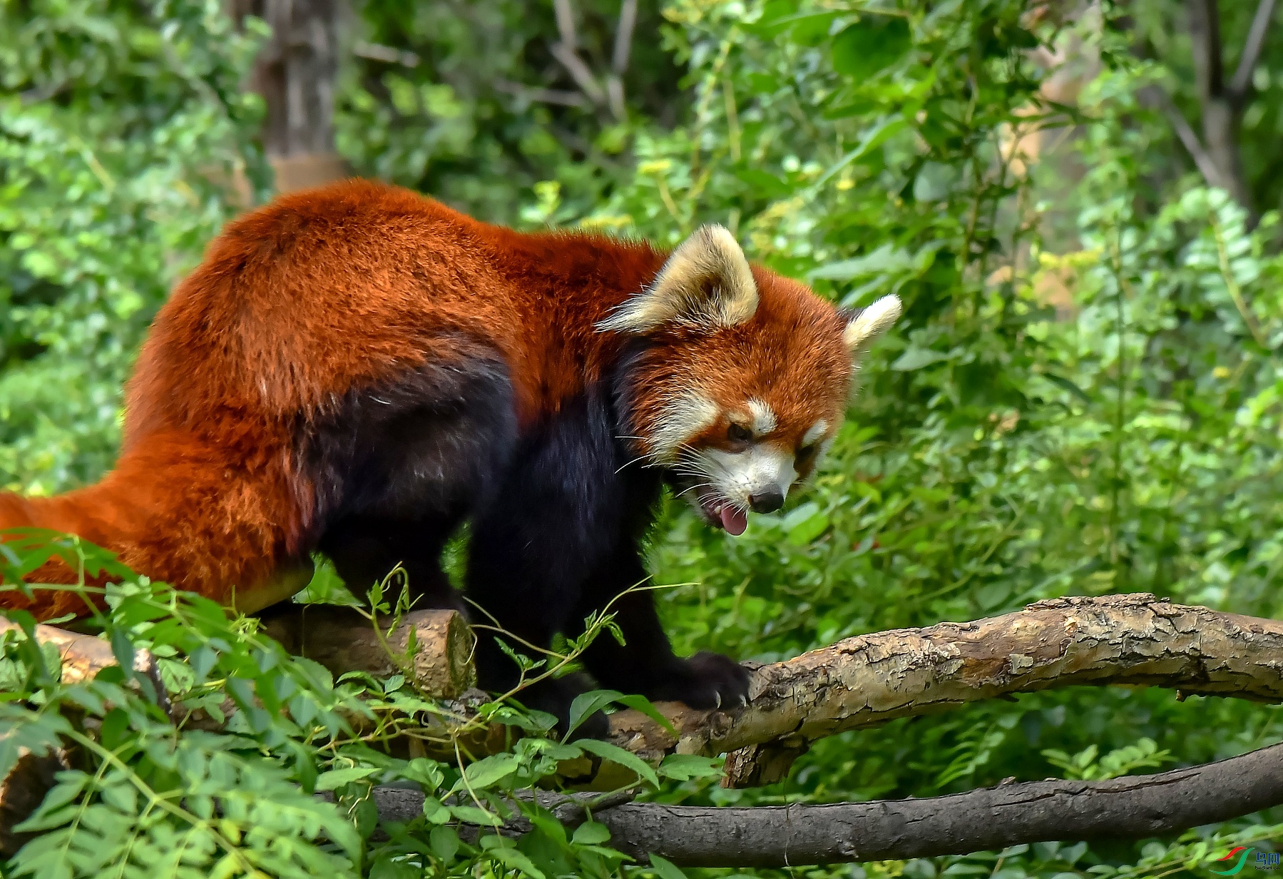 DSC_1188---_conew1.jpg