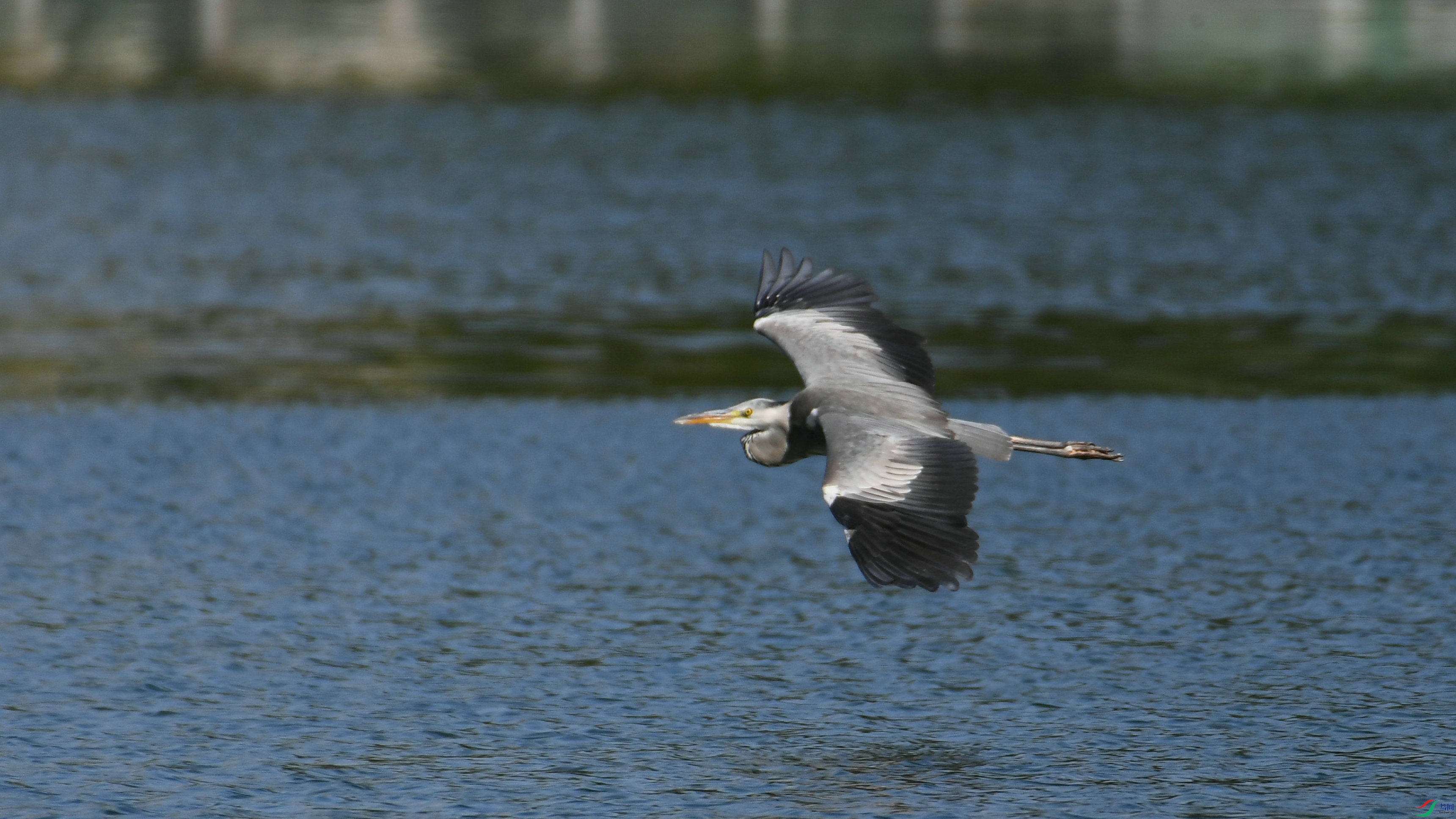 DSC_8937.JPG