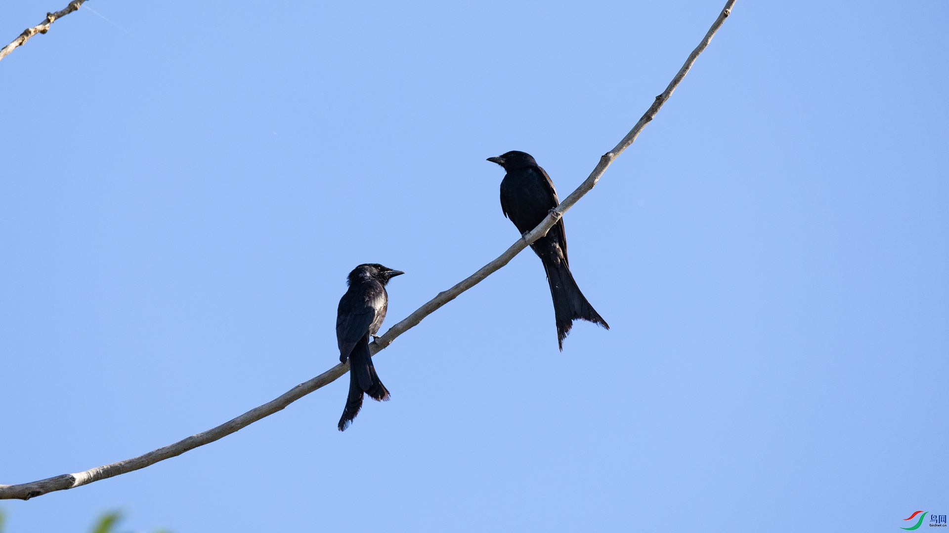 t_142940.jpg
