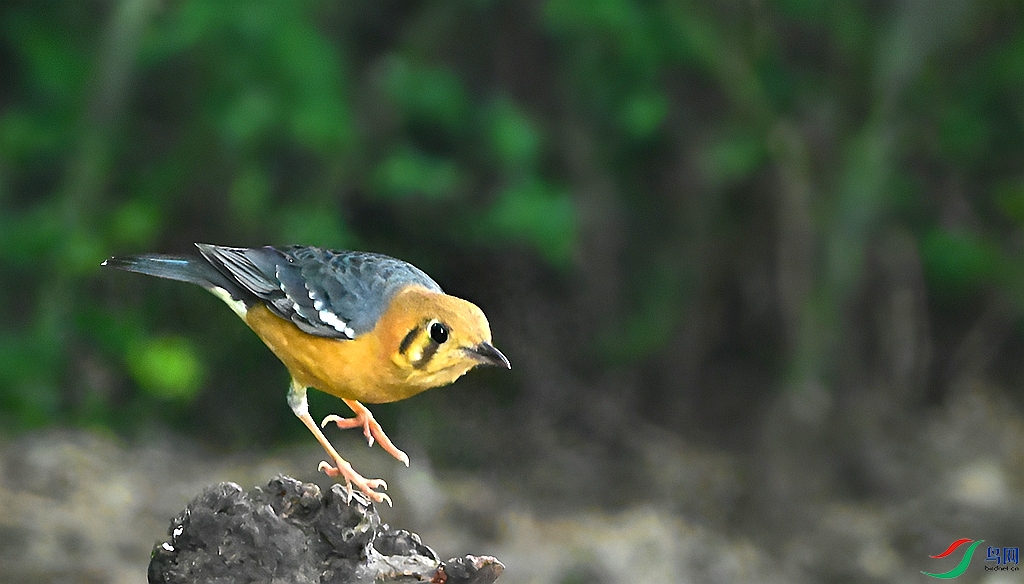 DSC_1112.JPG