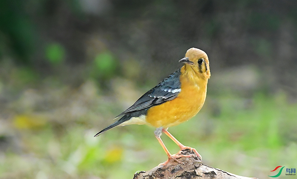 DSC_1363.JPG