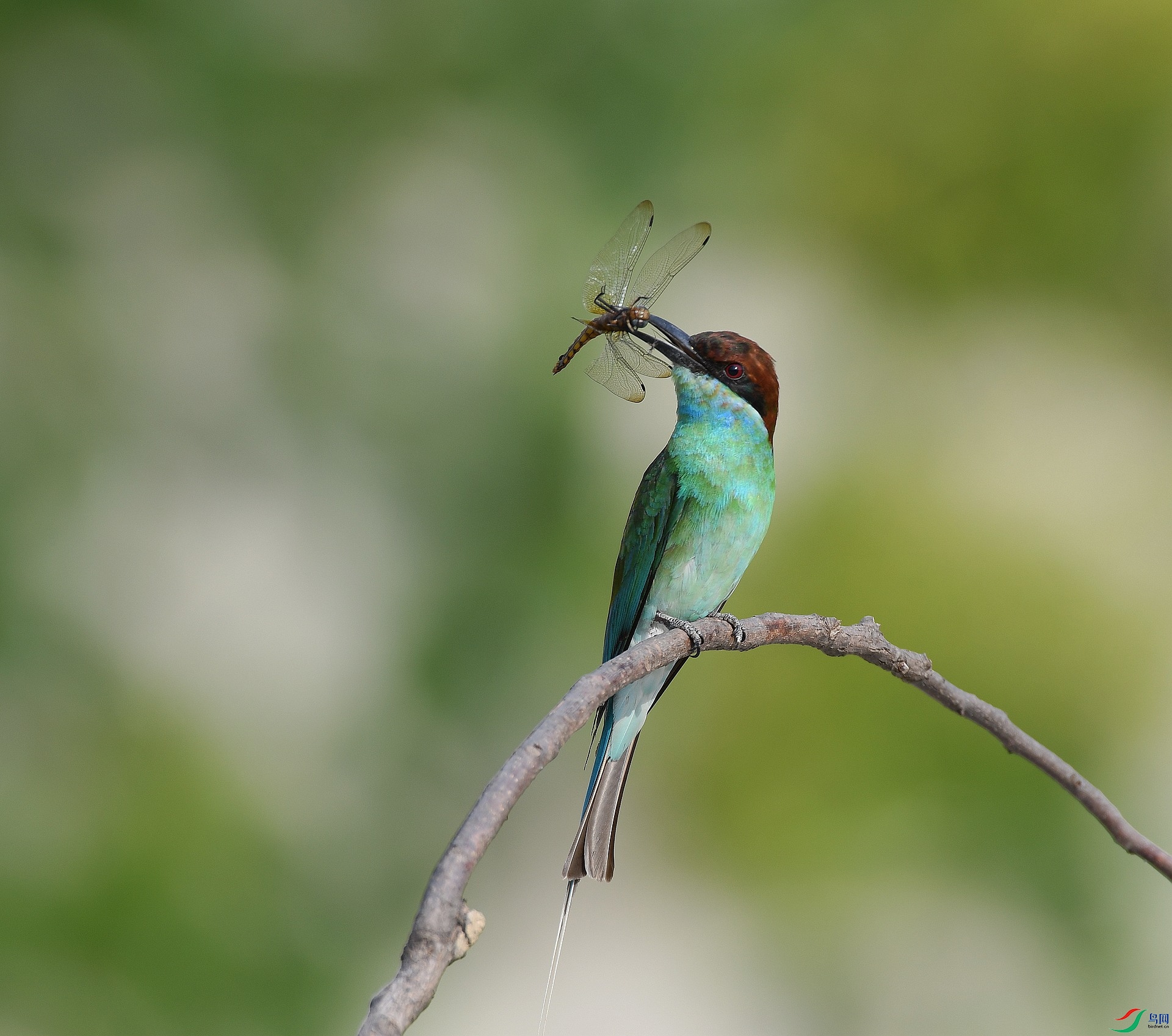 DSC_0392.jpg