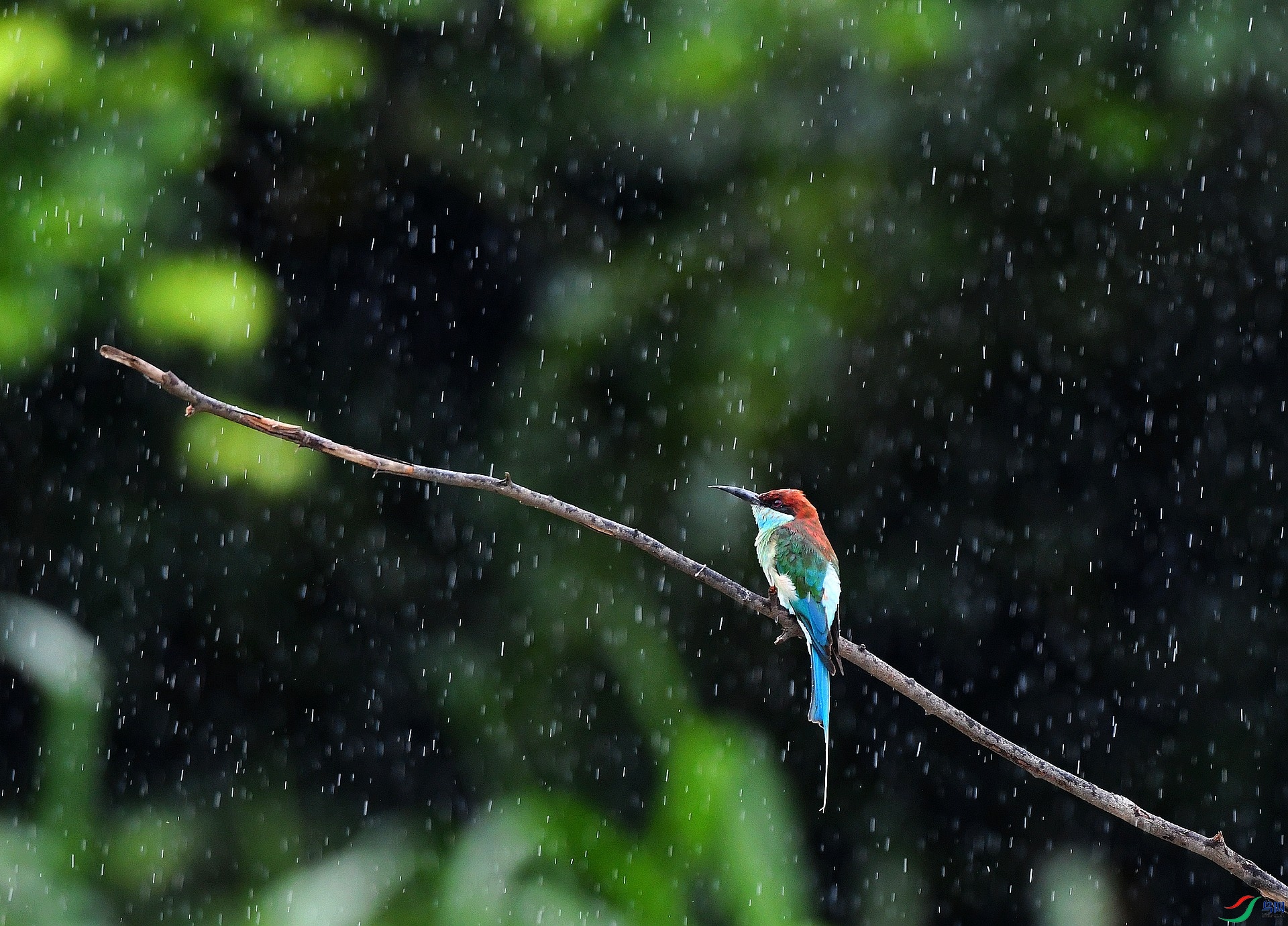 DSC_4014.jpg